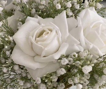 White Floral pic close up