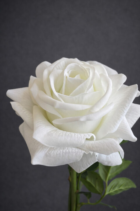 White flower real touch