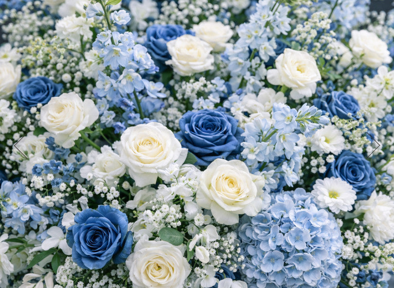 Screenshot 2026-02-01 160932