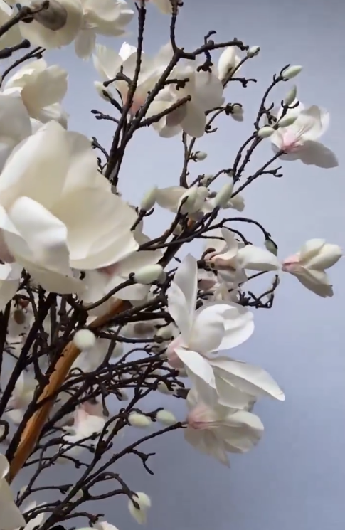 Artificial Magnolia Flower - Designer Pot