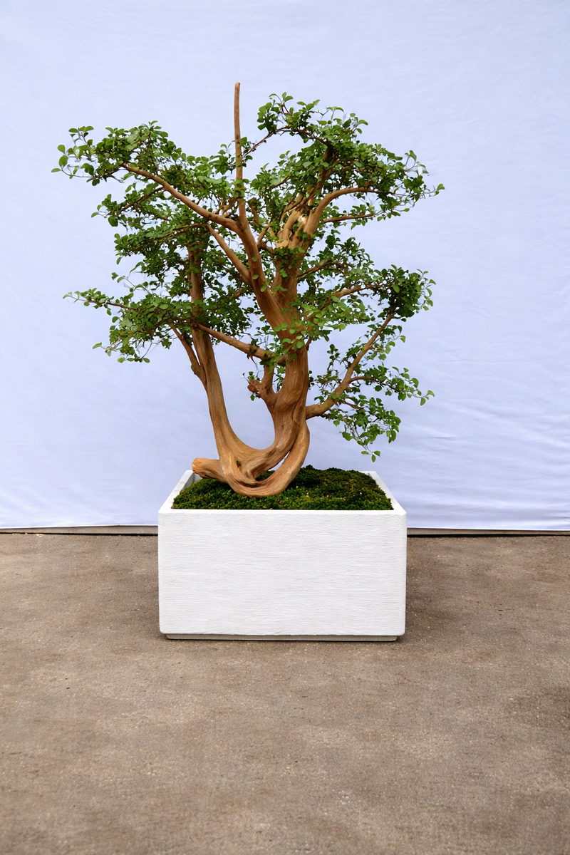 Artificial Green Leaves Tree in Rectangular Pot