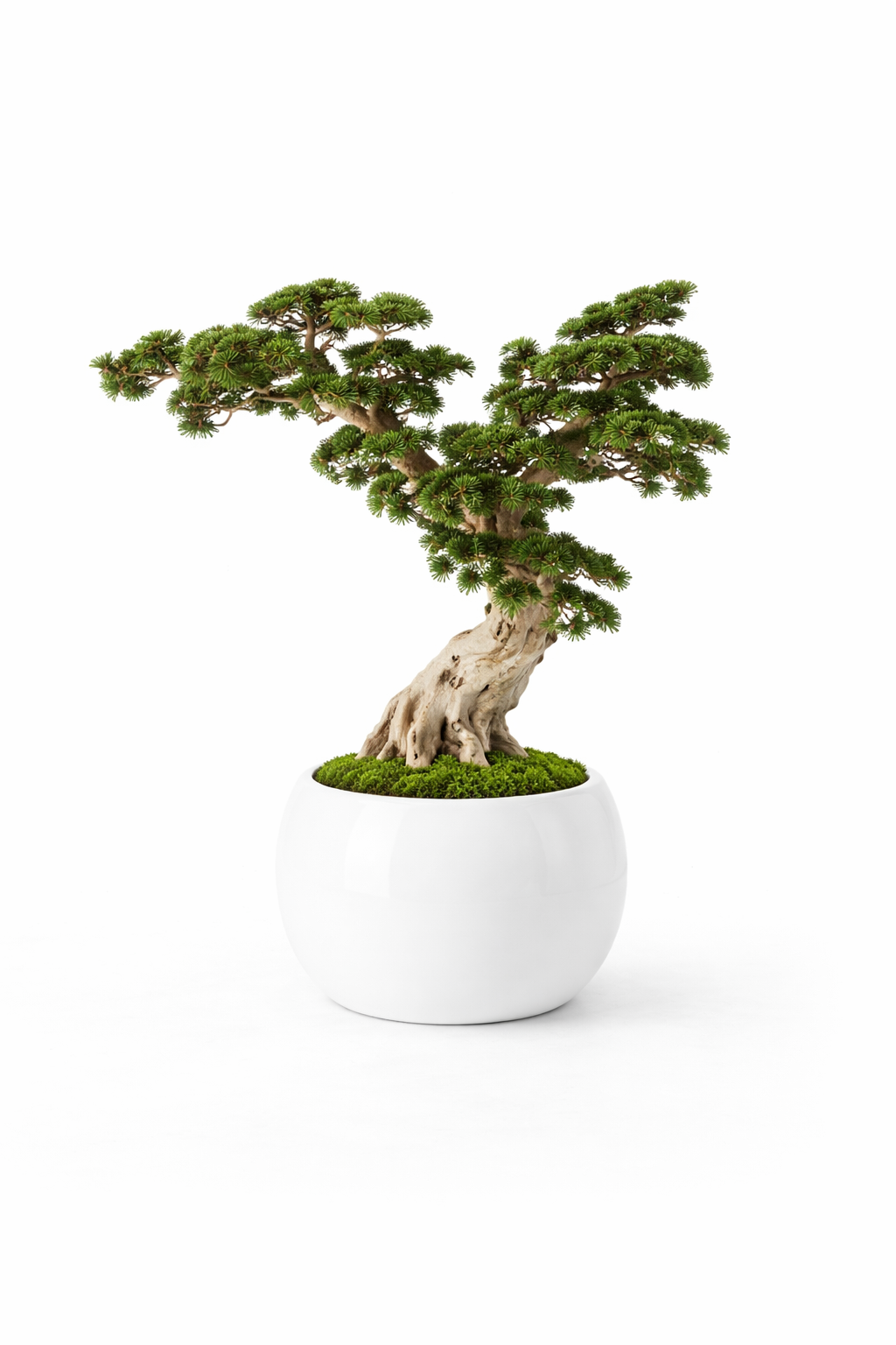 Artificial Pine Tree with High Quality Cypress Trunk