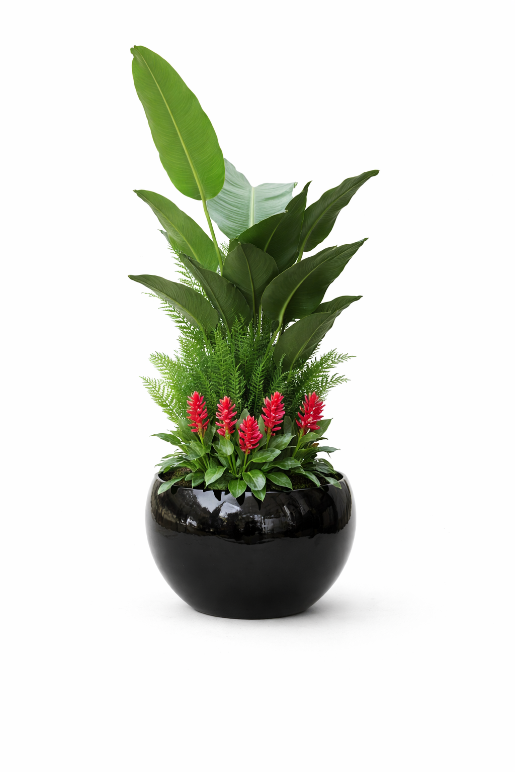 Artificial Traveller’s Tree