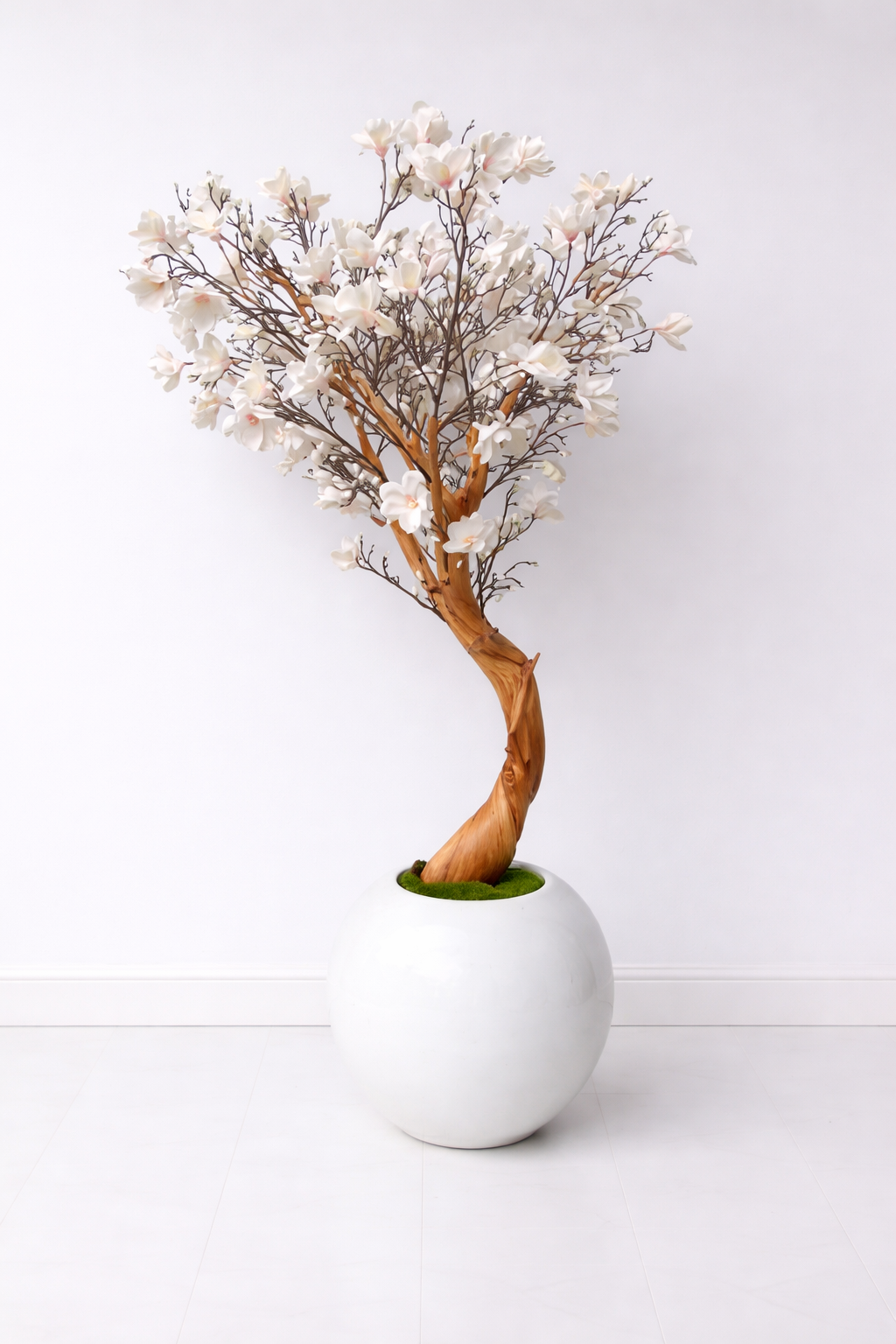 White Magnolia Tree in Glossy White Globe Planter