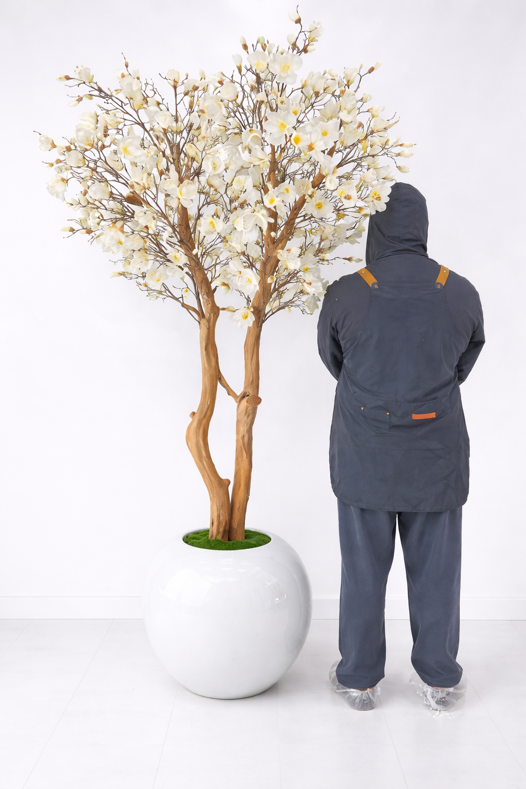 White Magnolia Tree in Glossy White Globe Planter