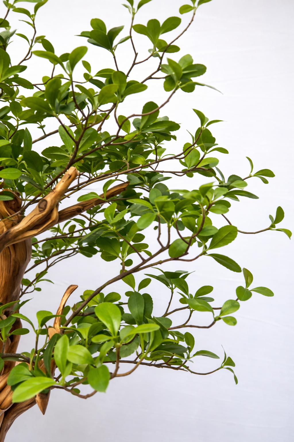 Artificial Green Leaves Tree
