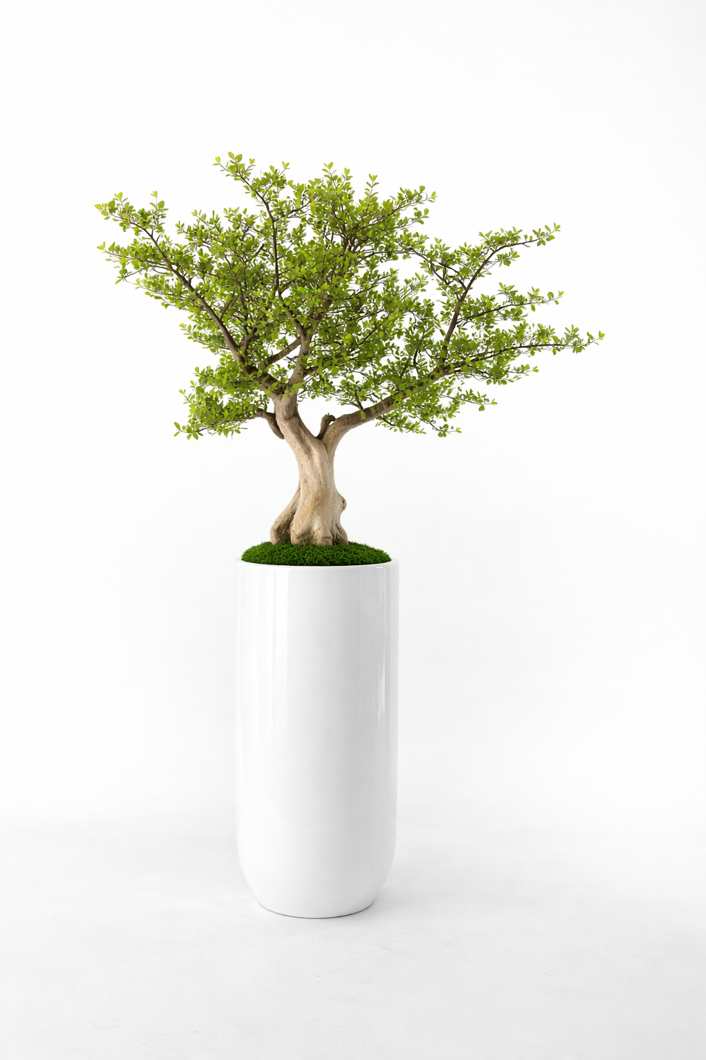 Artificial Rhaphiolepis Indica Tree
