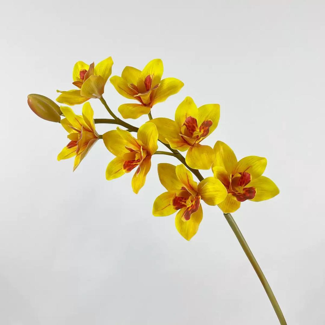 Real Touch - Cymbidium Orchid - Yellow