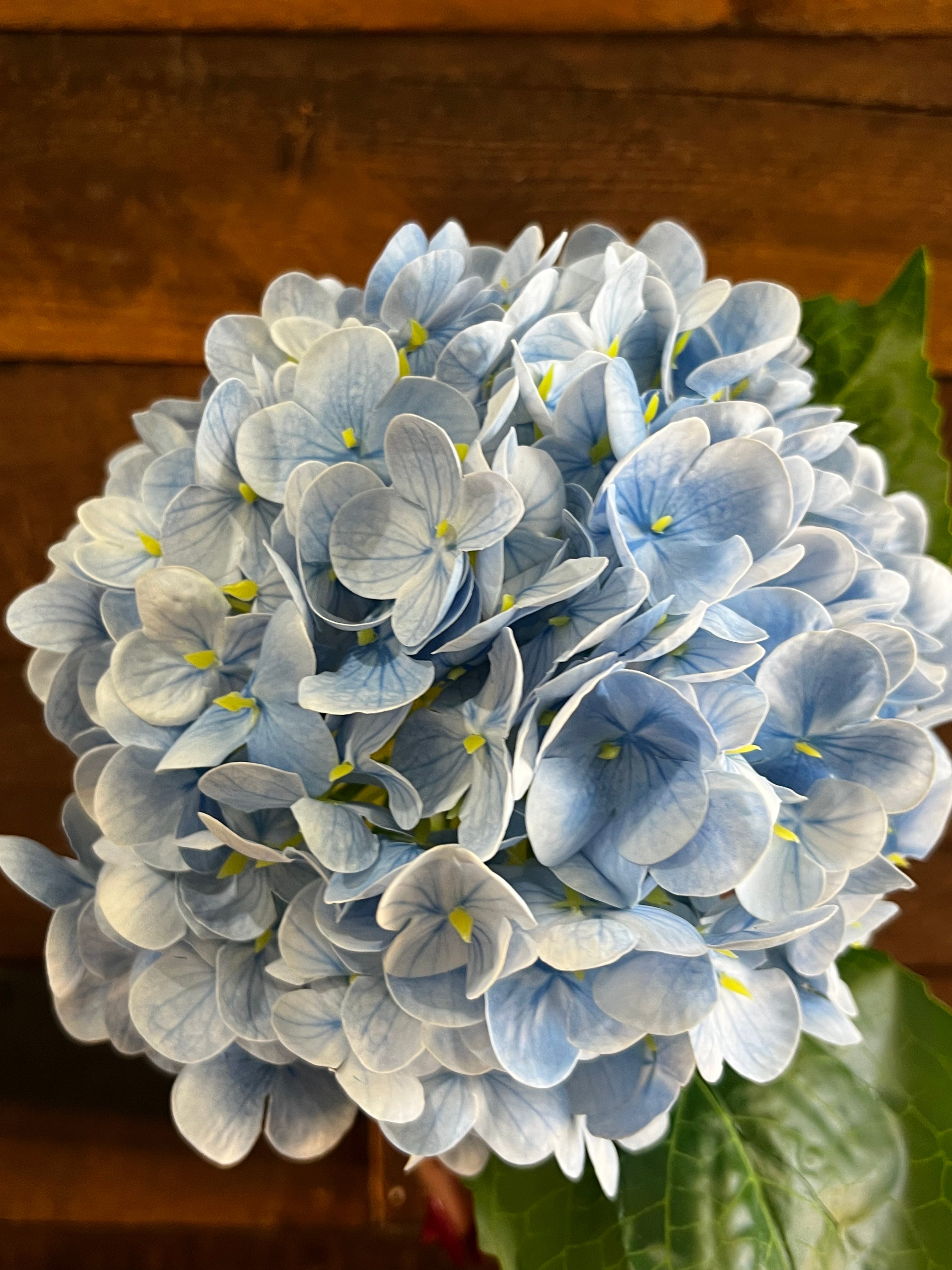 Real Touch Hydrangea - Blue