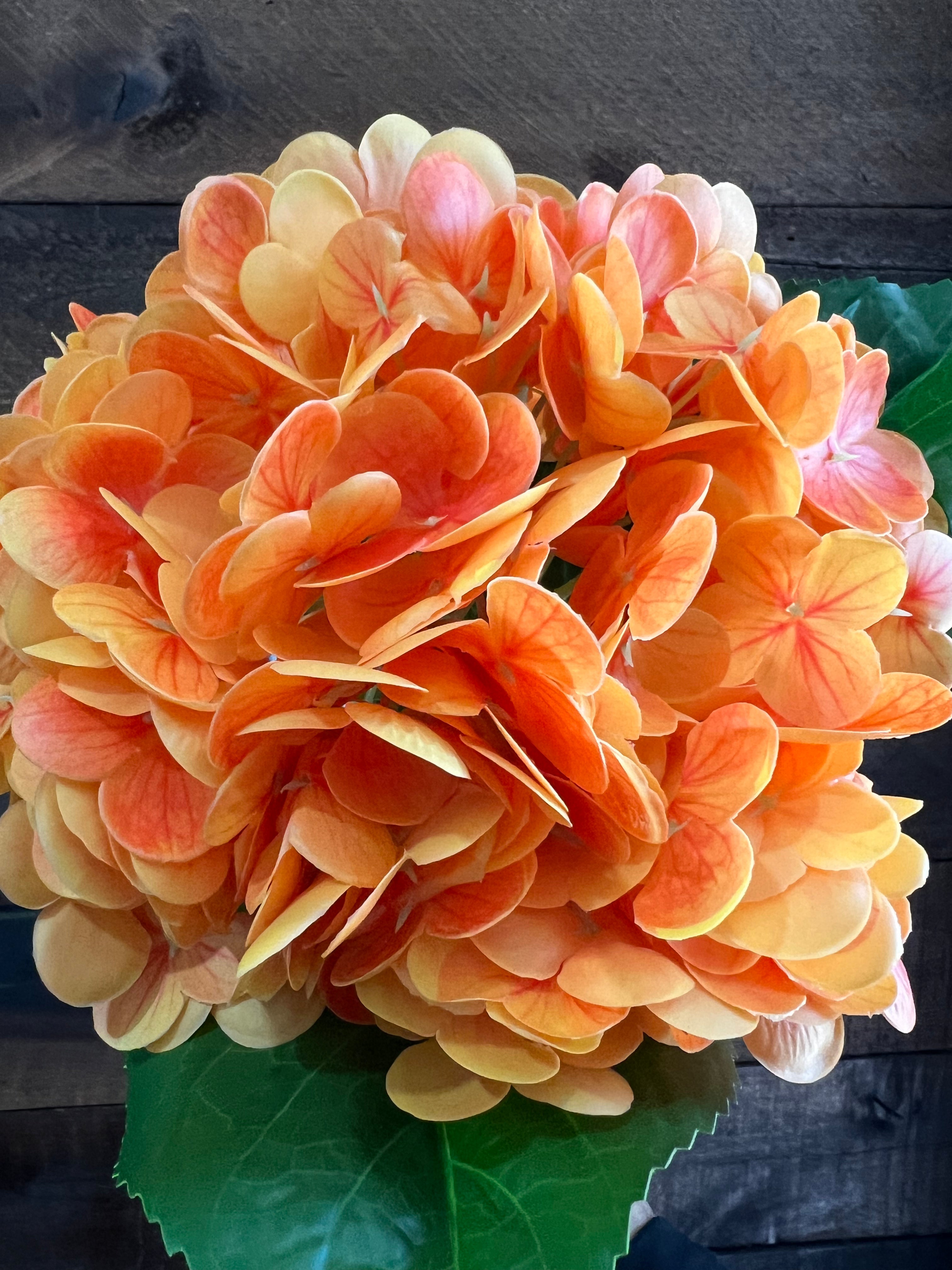 Real Touch Hydrangea - Orange