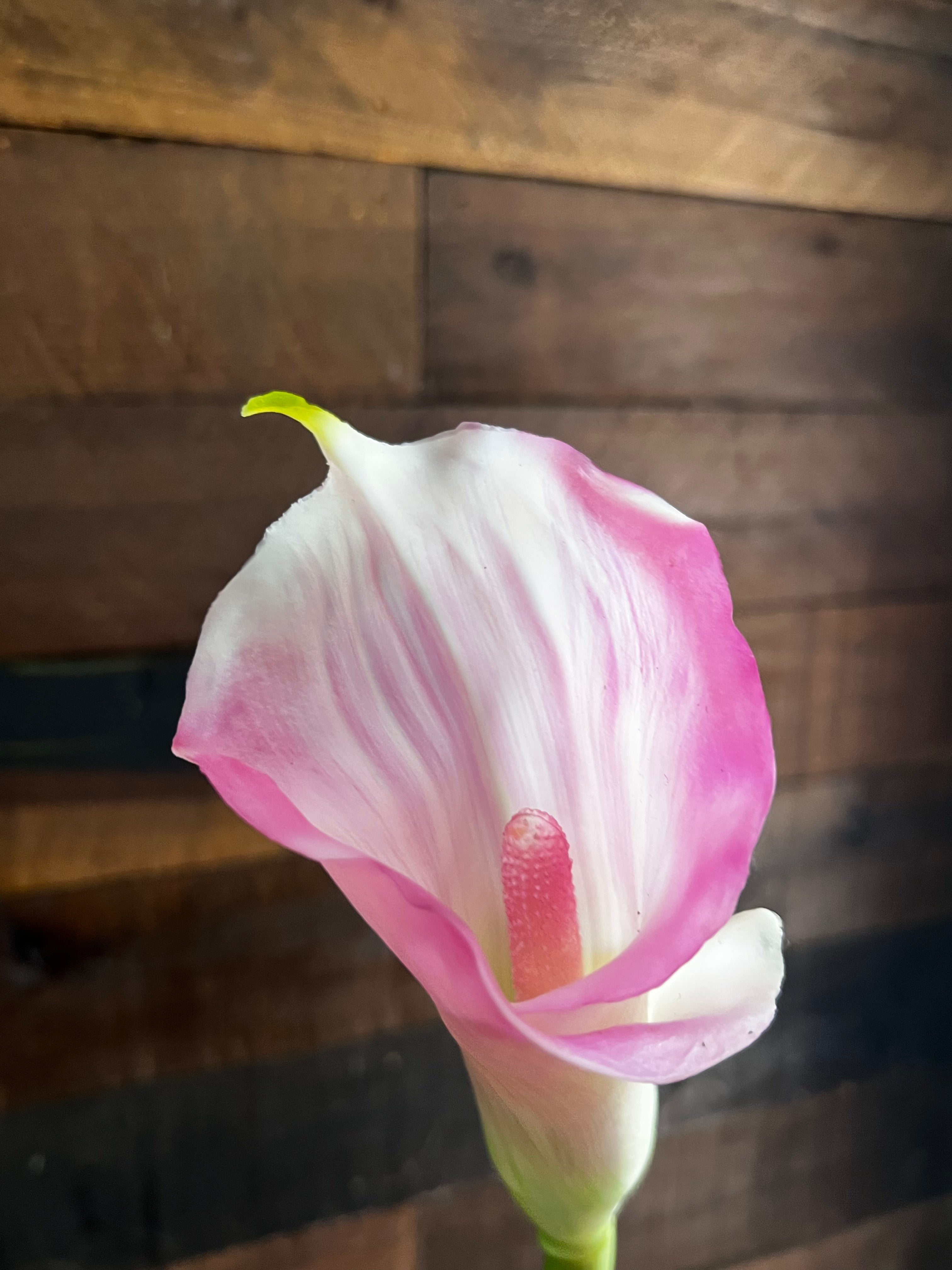 Real Touch Calla Lily - Pink