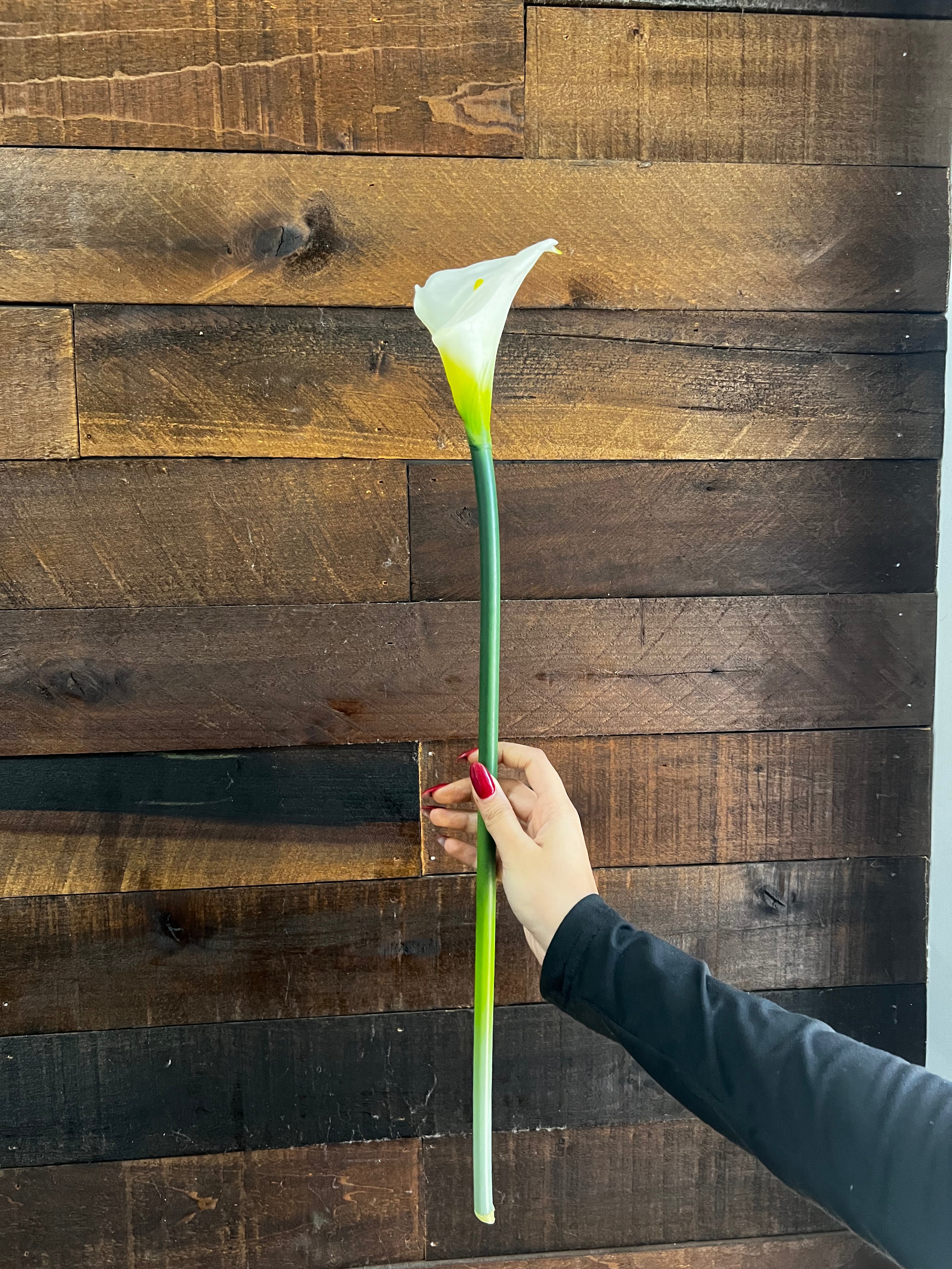 Real Touch Calla Lily - White