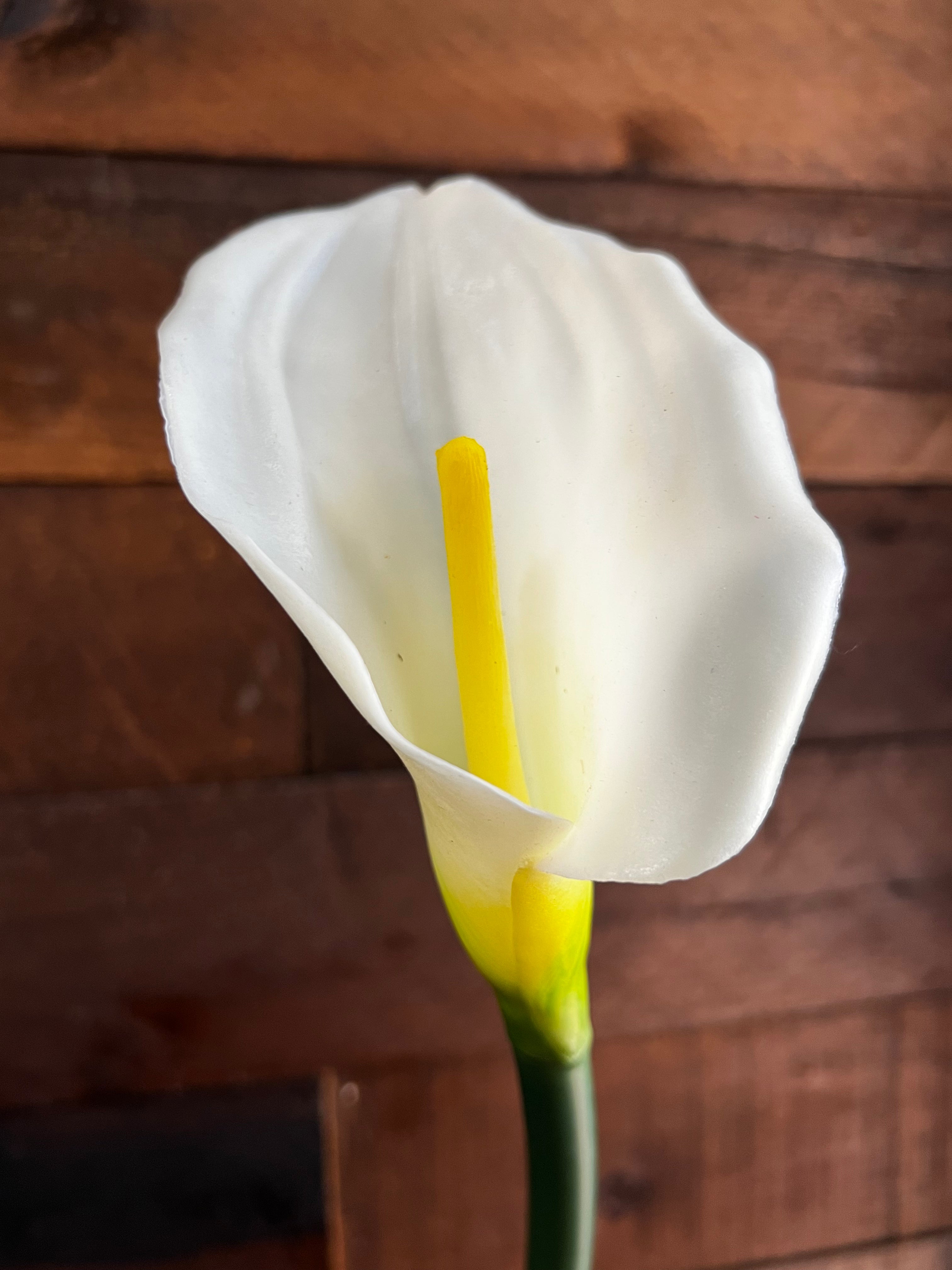 Real Touch Calla Lily - White