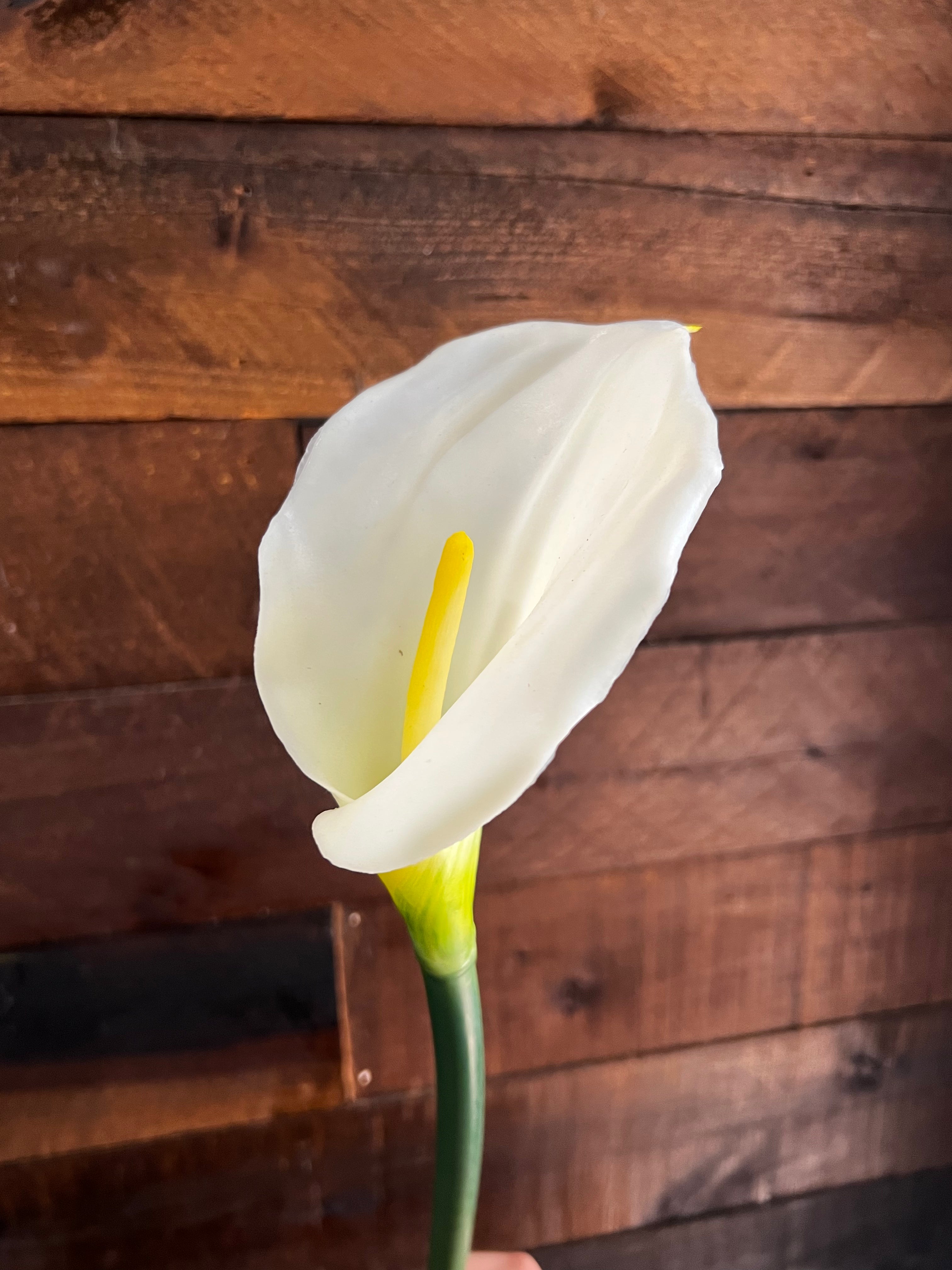 Real Touch Calla Lily - White