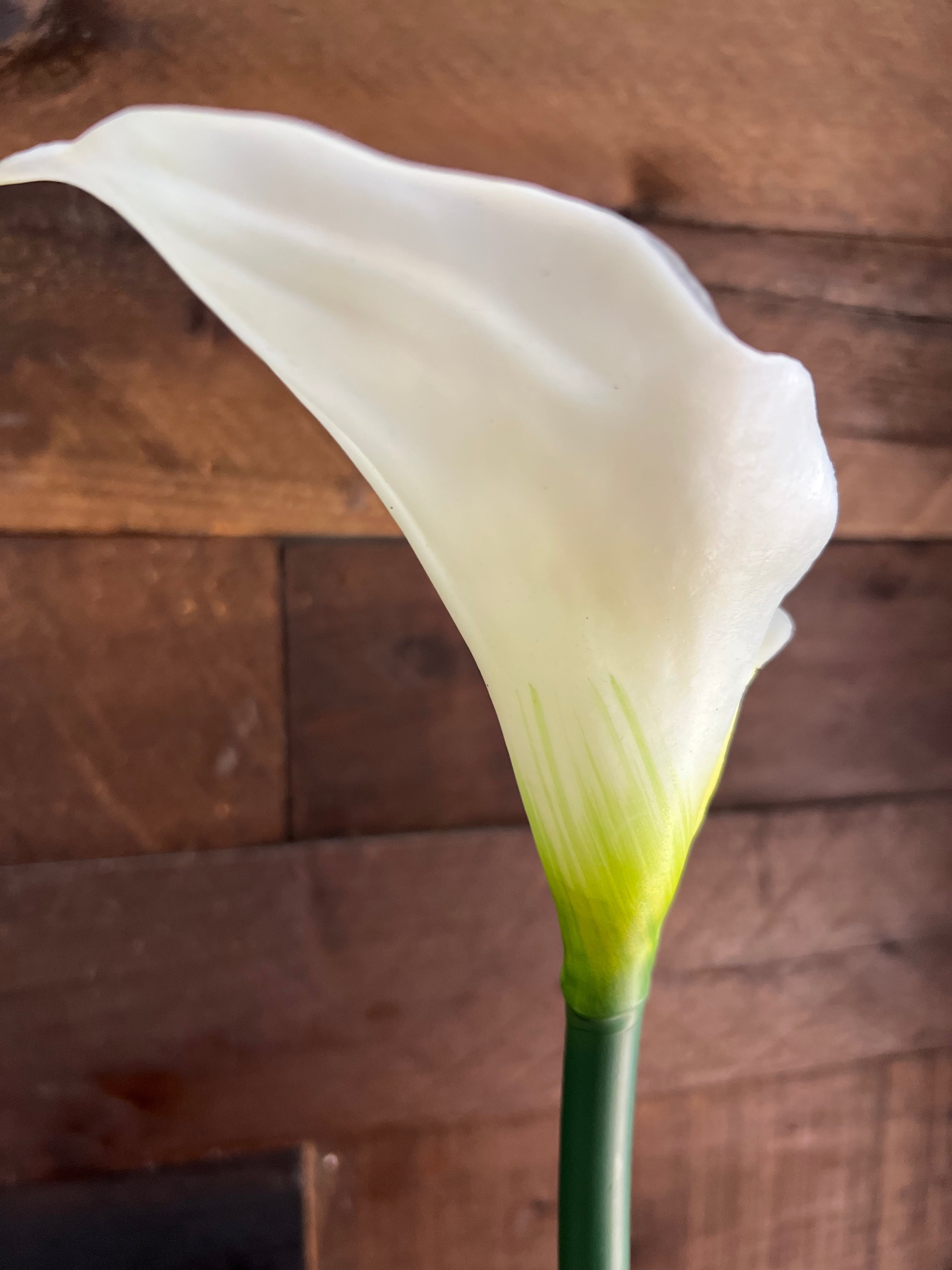Real Touch Calla Lily - White