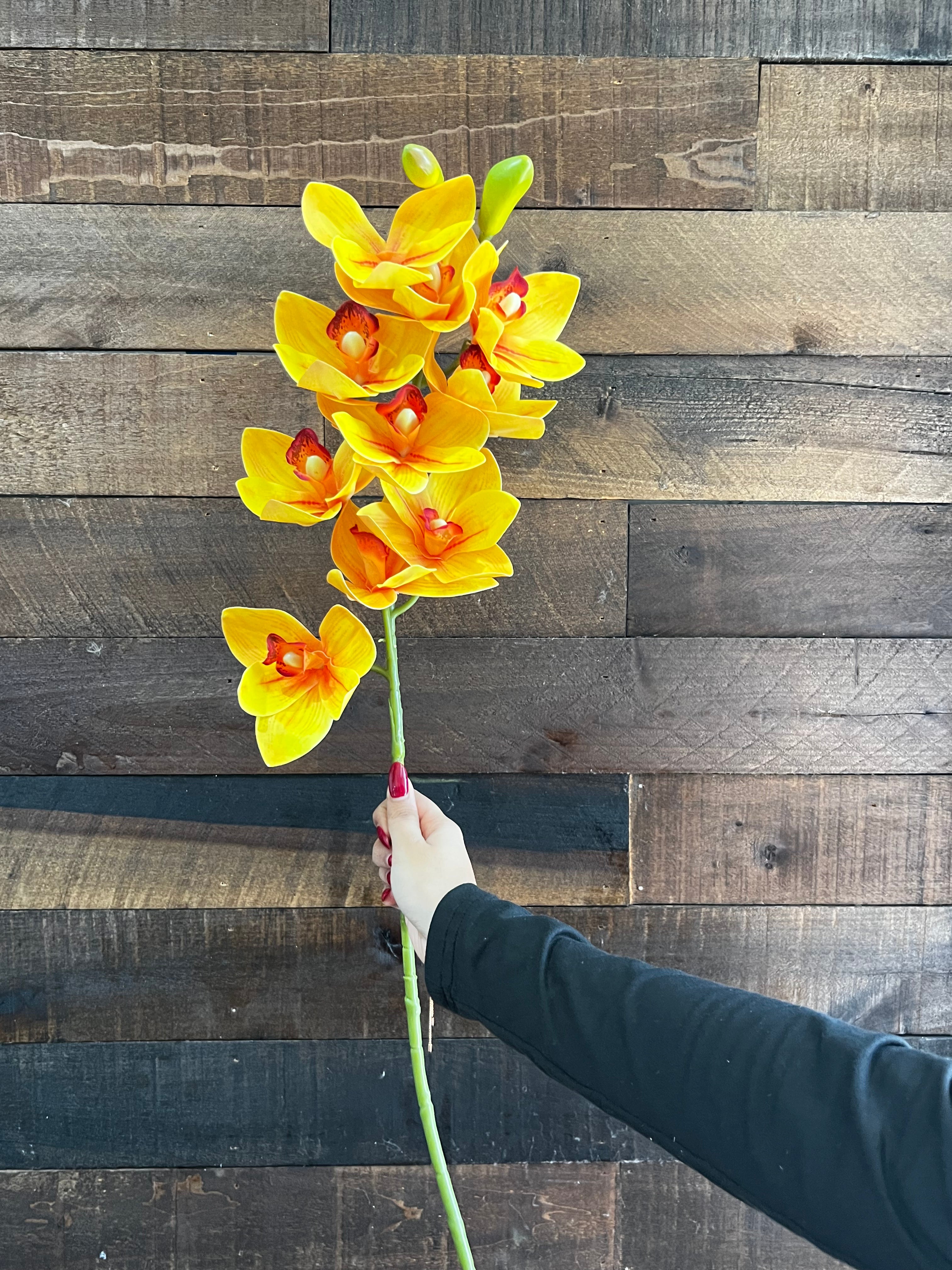 Real Touch - Cymbidium Orchid - Yellow