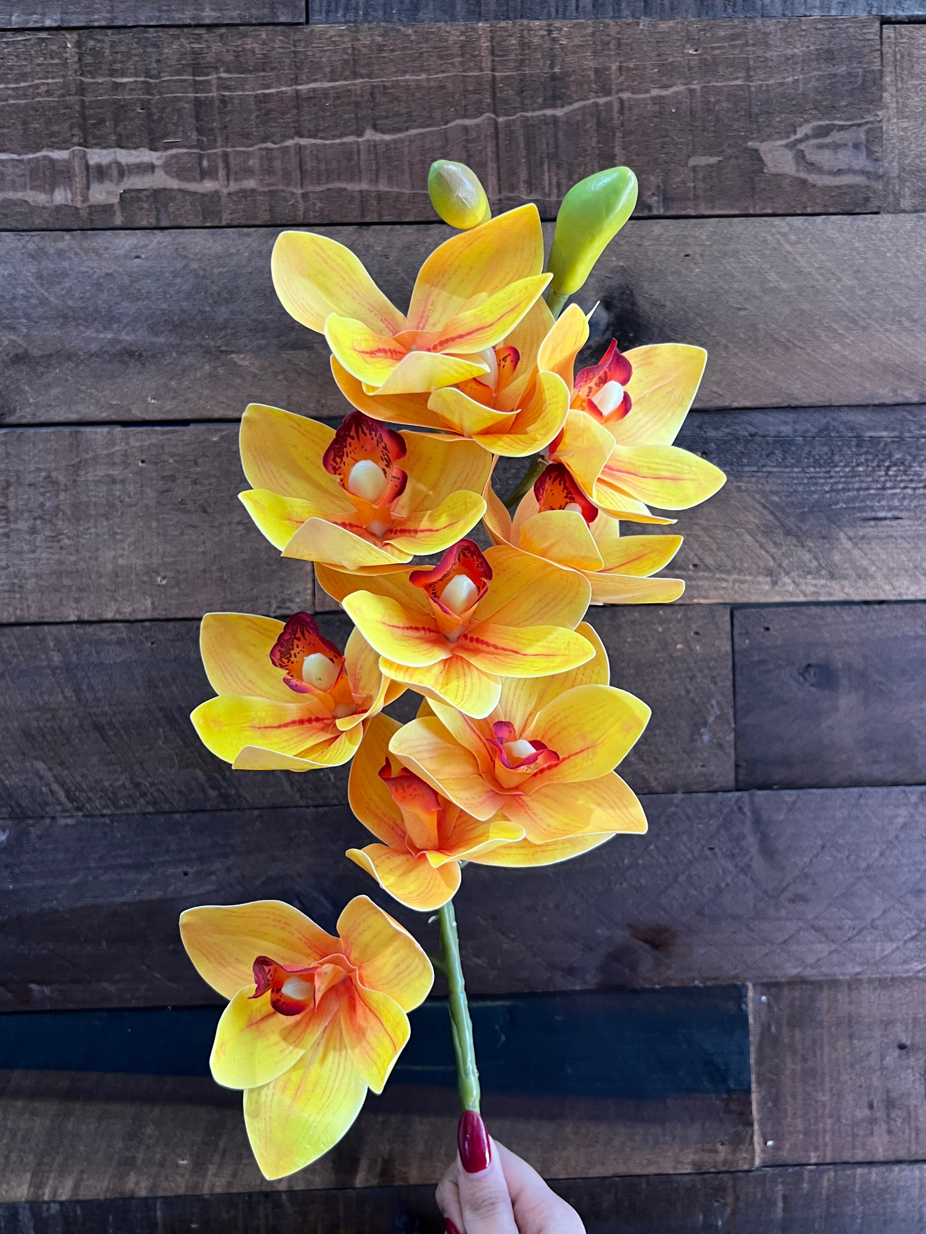 Real Touch - Cymbidium Orchid - Yellow