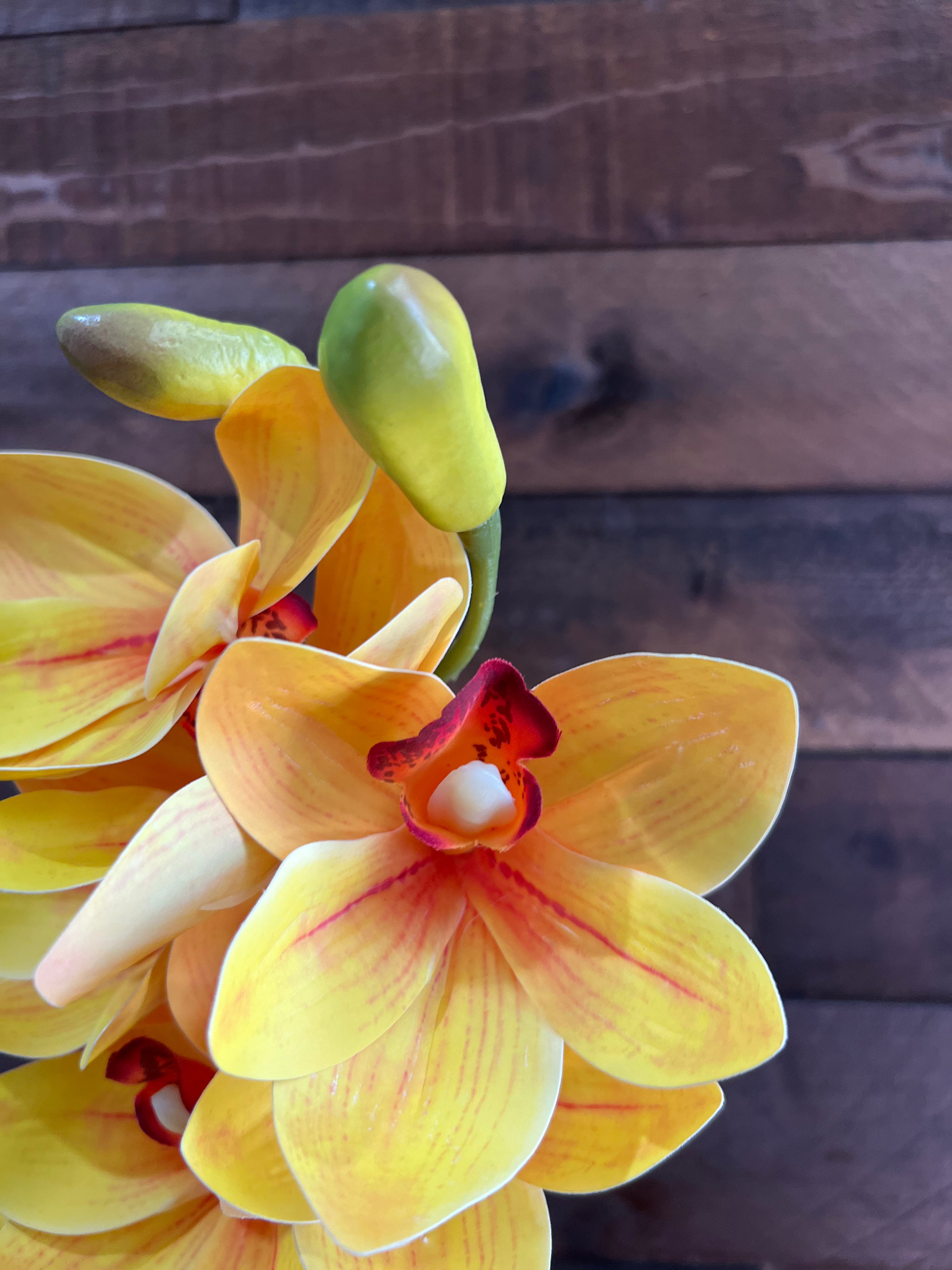 Real Touch - Cymbidium Orchid - Yellow