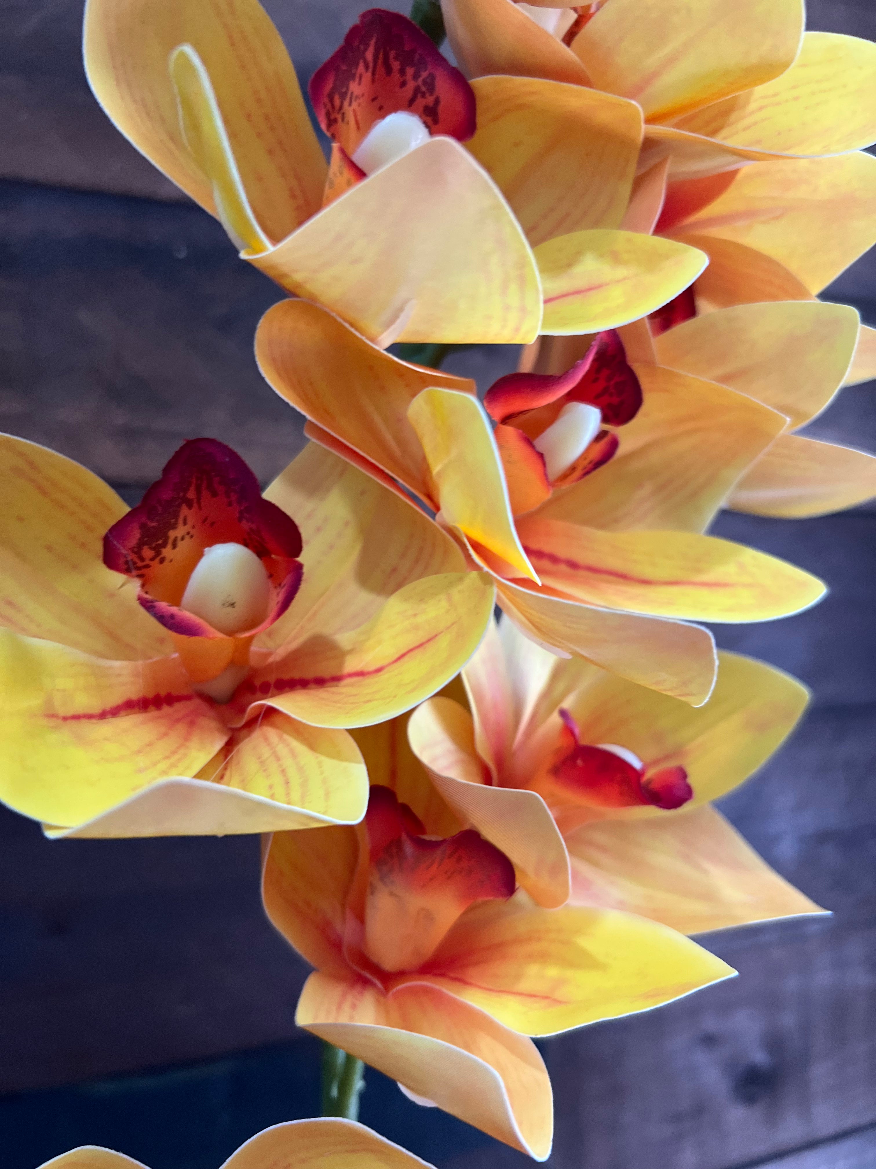 Real Touch - Cymbidium Orchid - Yellow