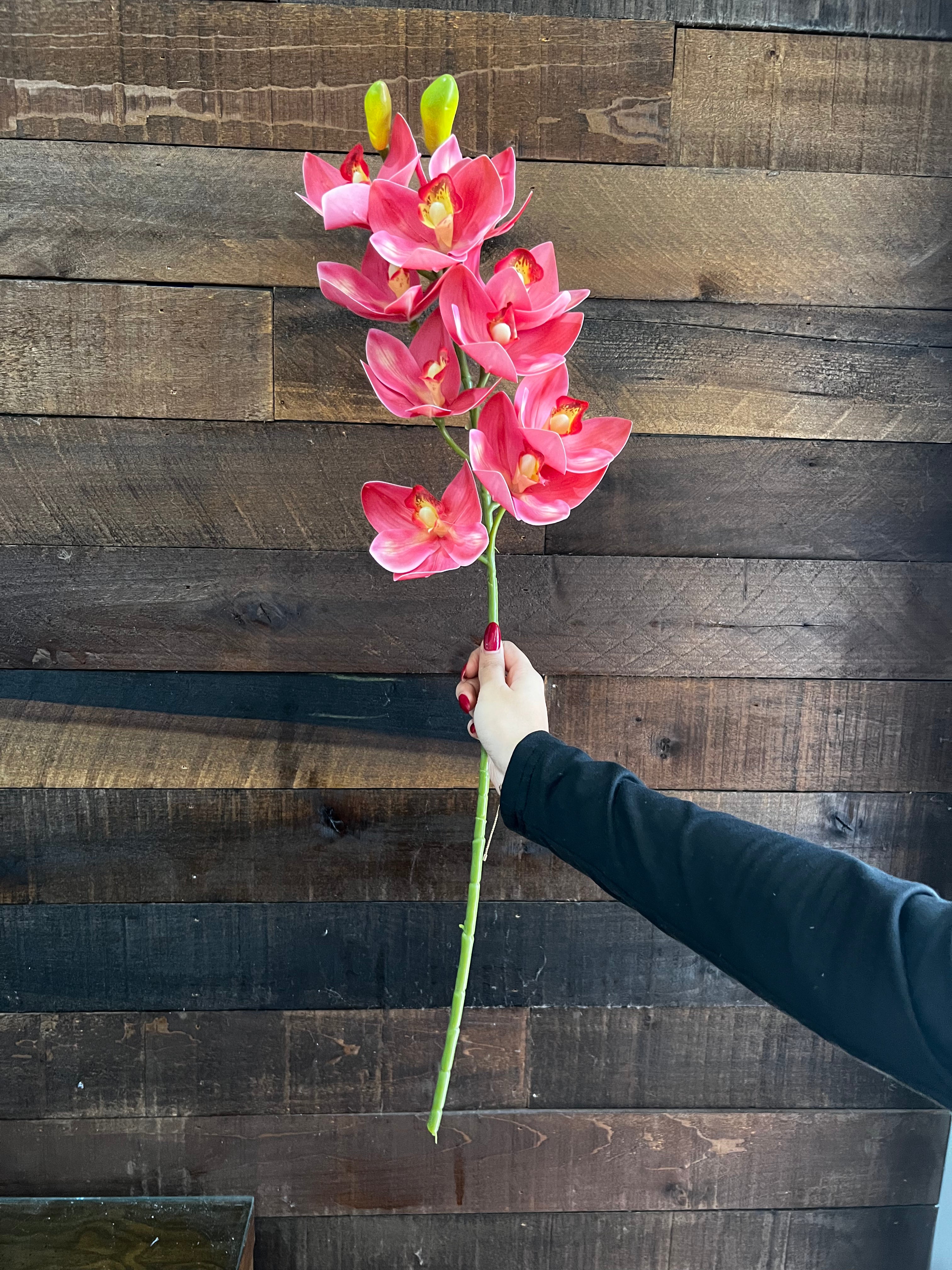 Real Touch - Cymbidium Orchid - Pink
