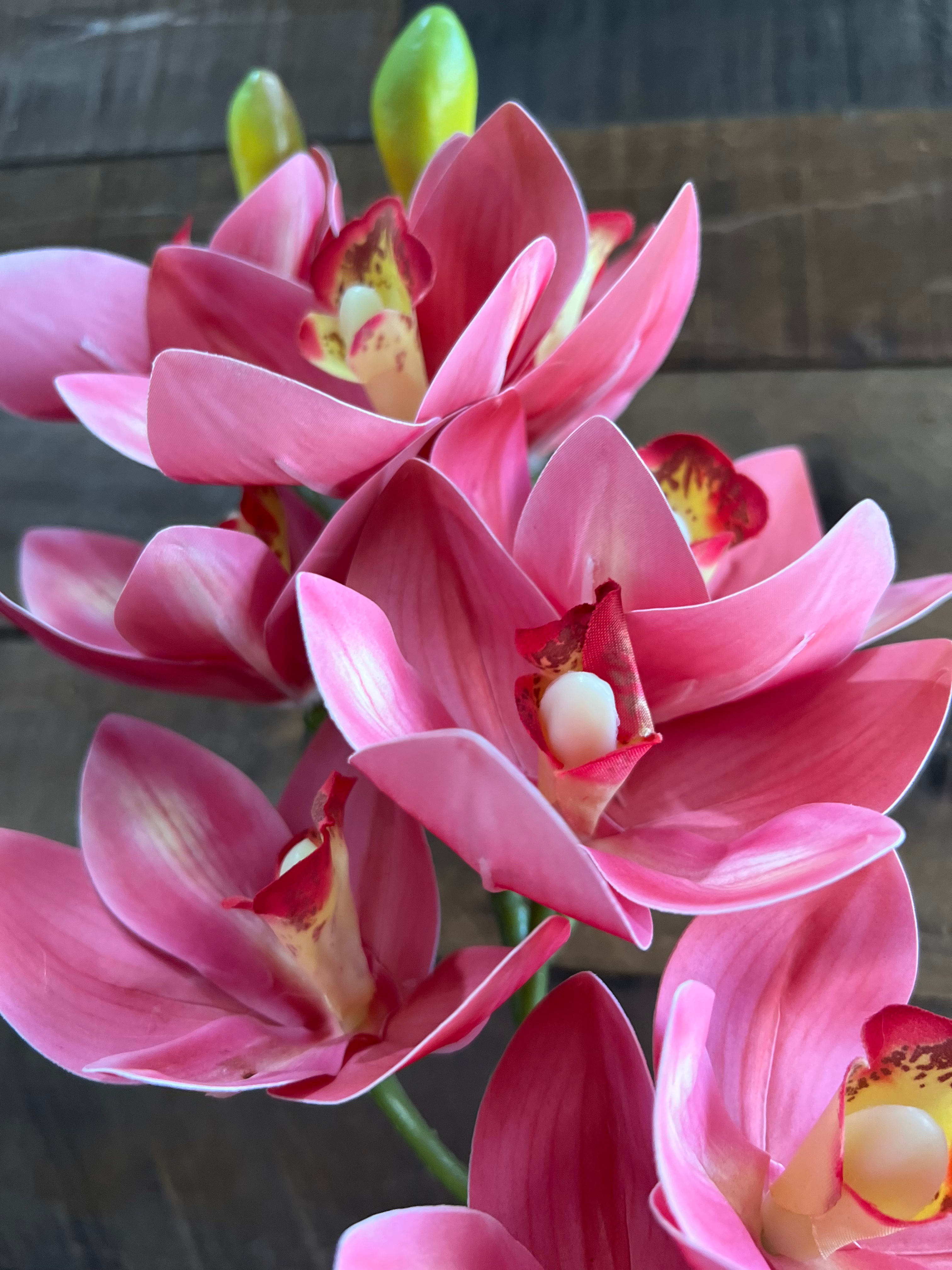 Real Touch - Cymbidium Orchid - Pink