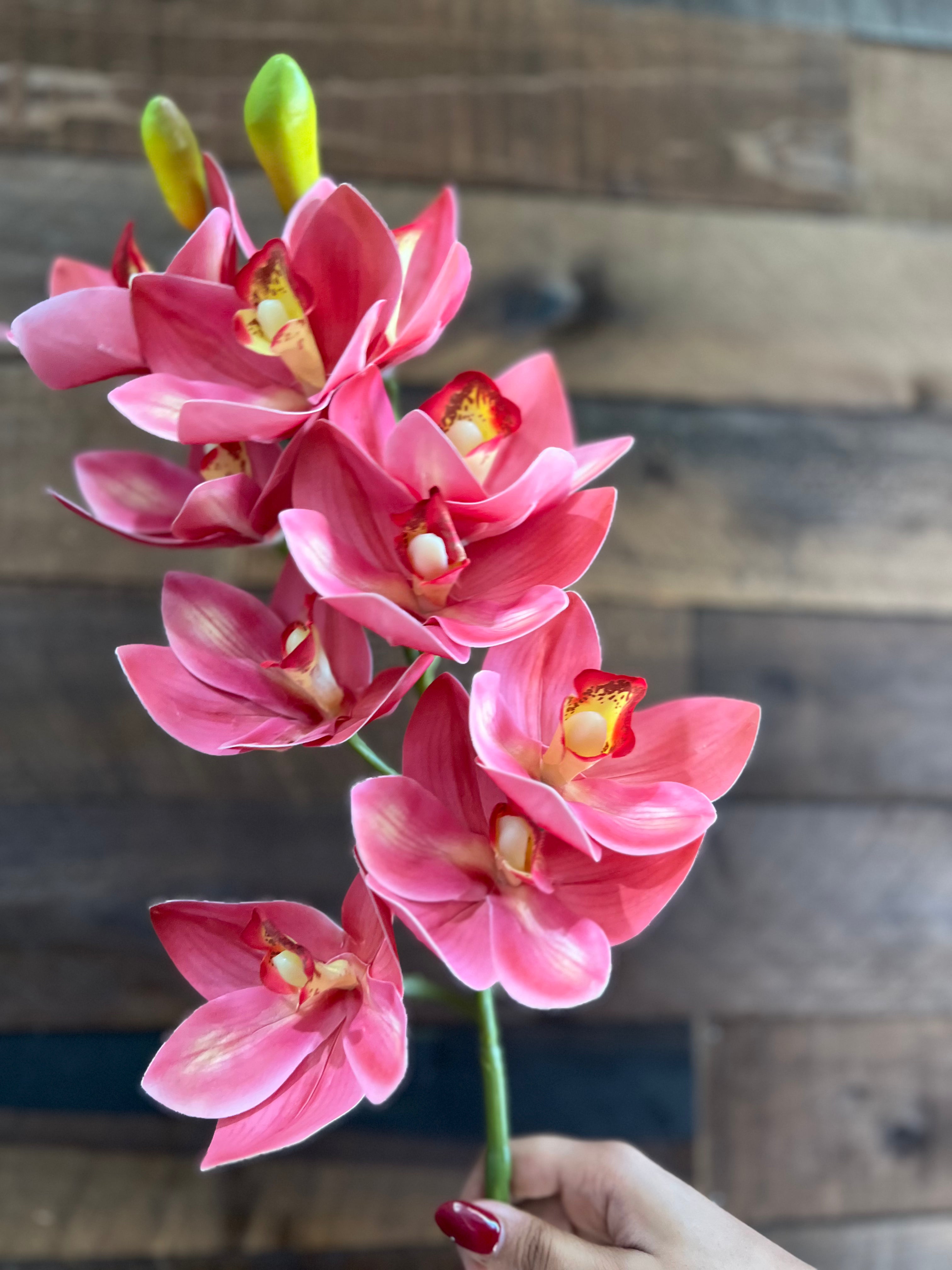 Real Touch - Cymbidium Orchid - Pink
