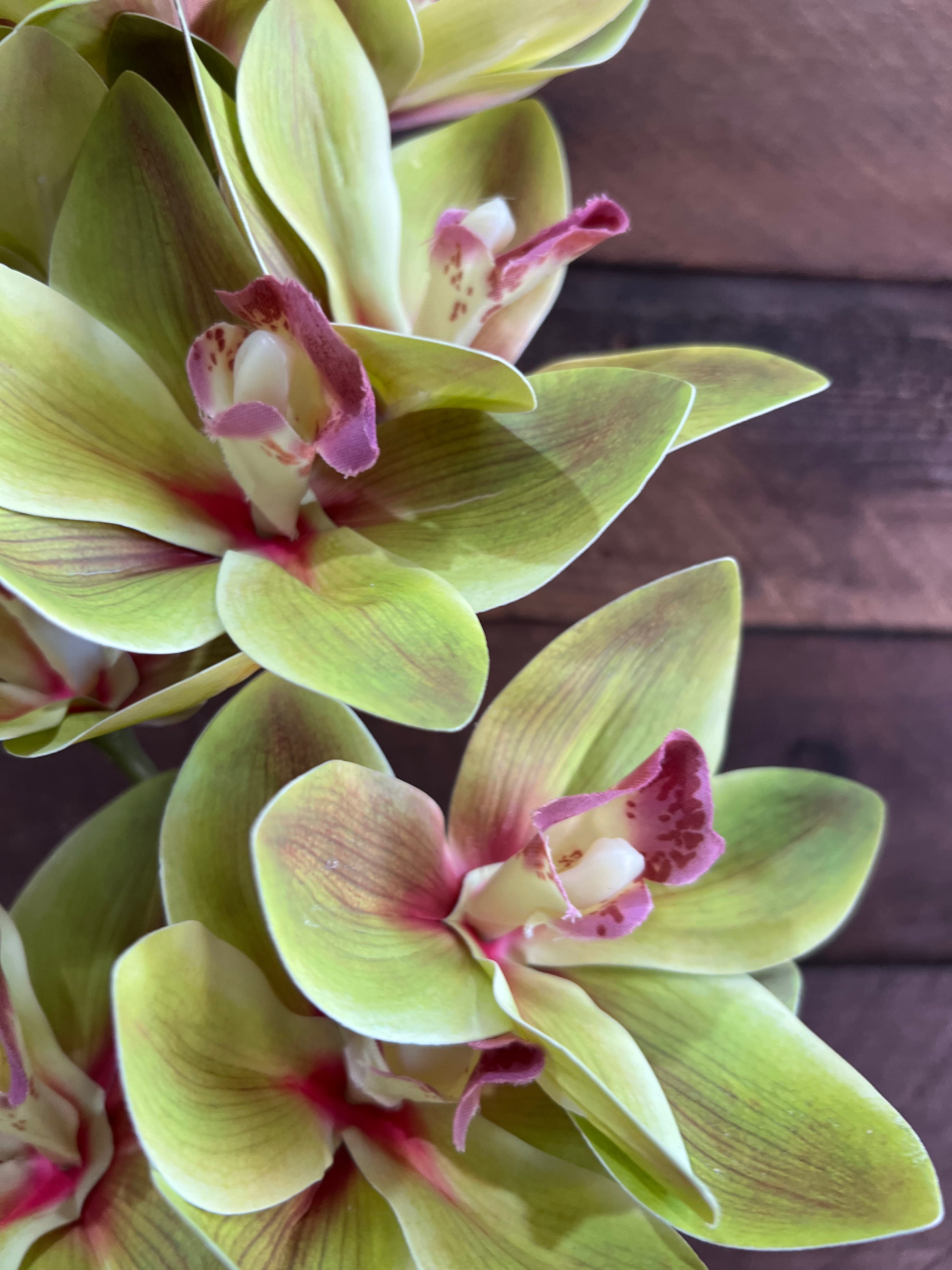 Real Touch - Cymbidium Orchid - Green