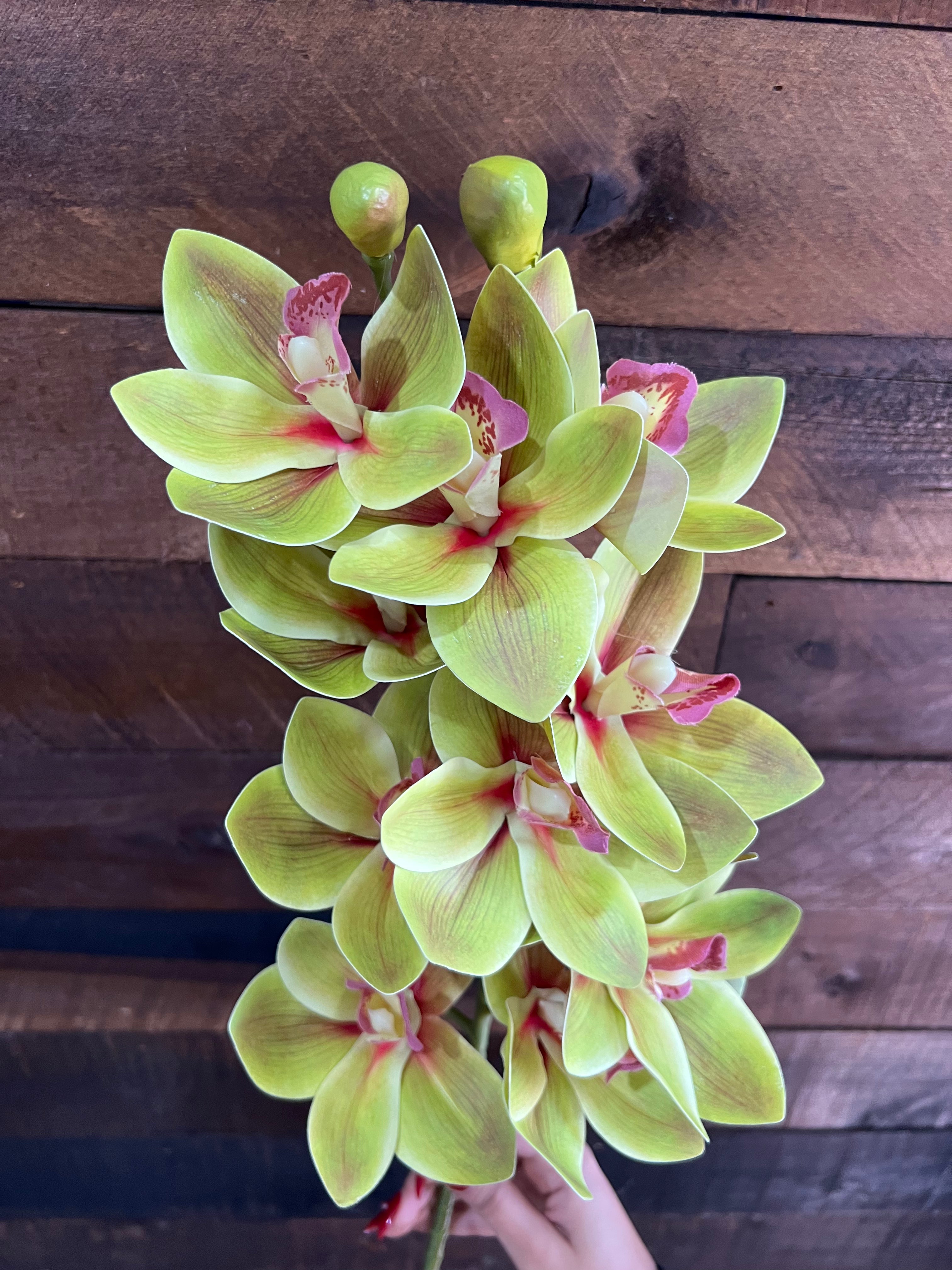 Real Touch - Cymbidium Orchid - Green
