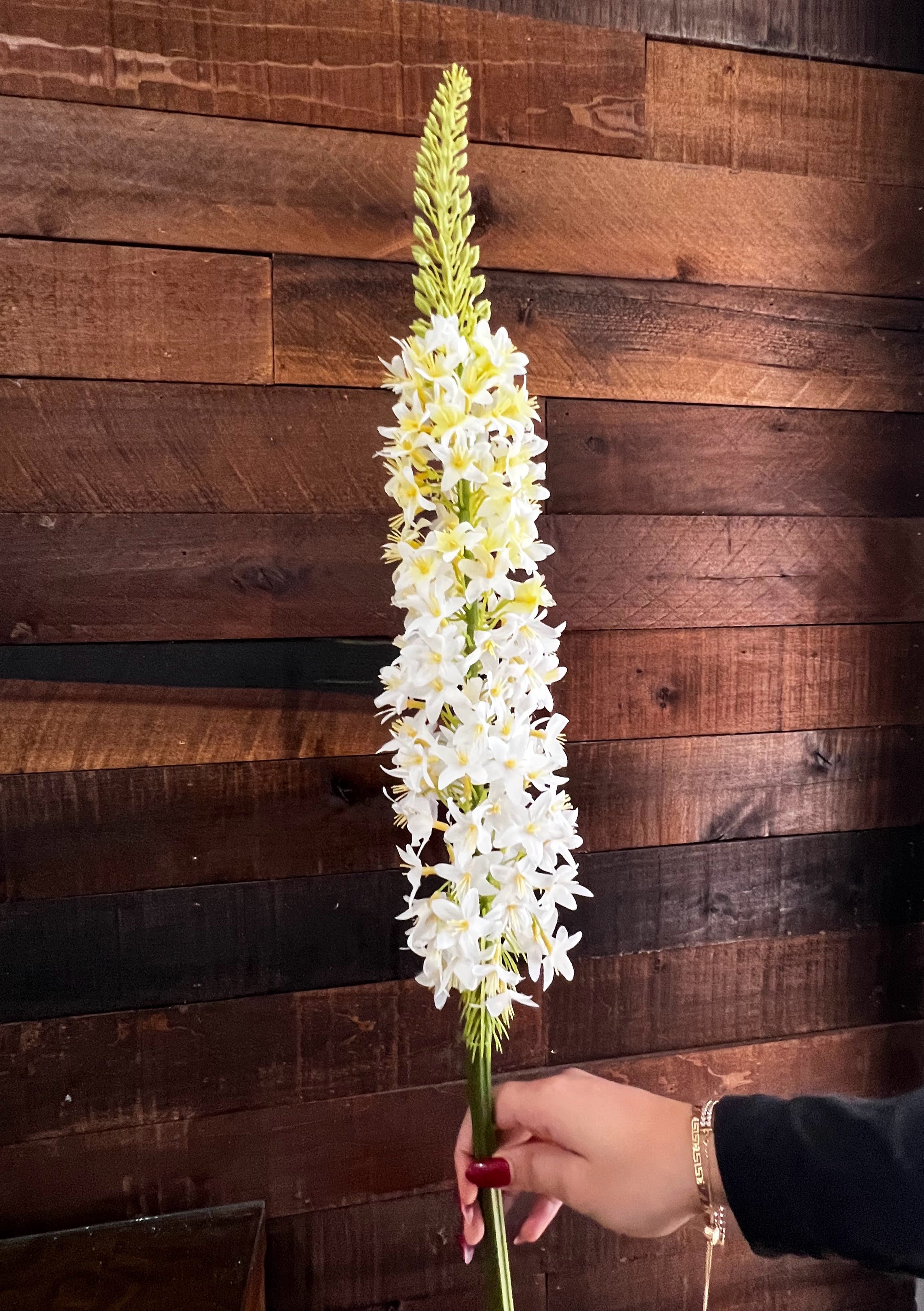 Foxtail Lily (Real Touch) White- Ivory