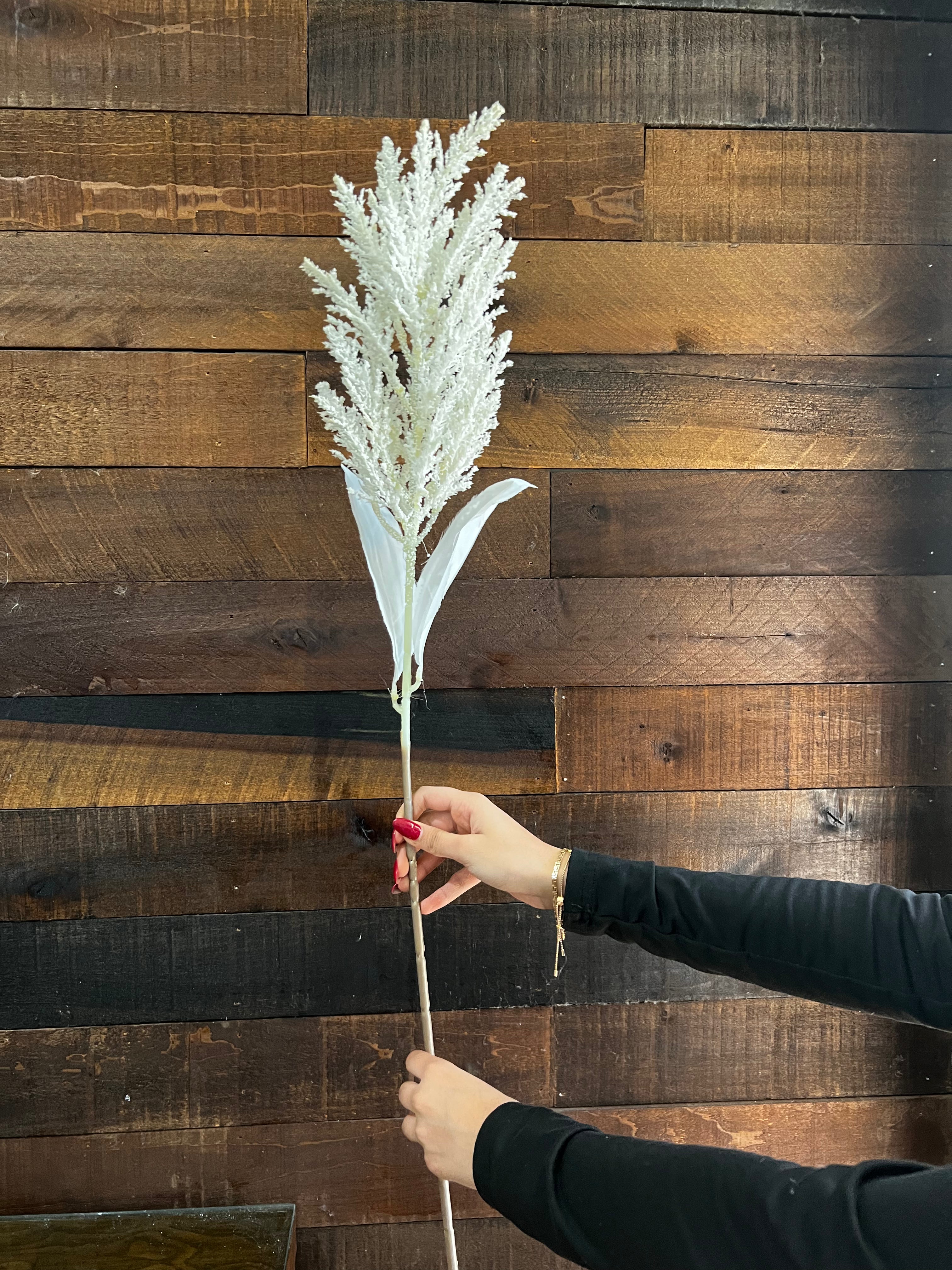 Dried Astilbe (Large Plume) - White