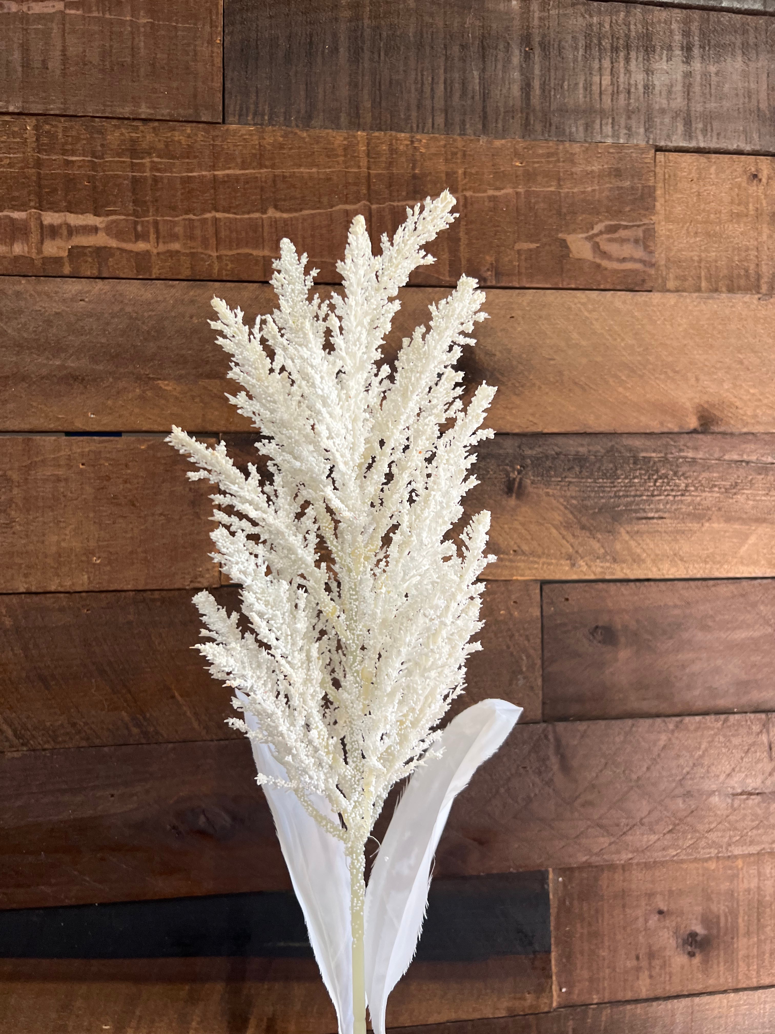 Dried Astilbe (Large Plume) - White