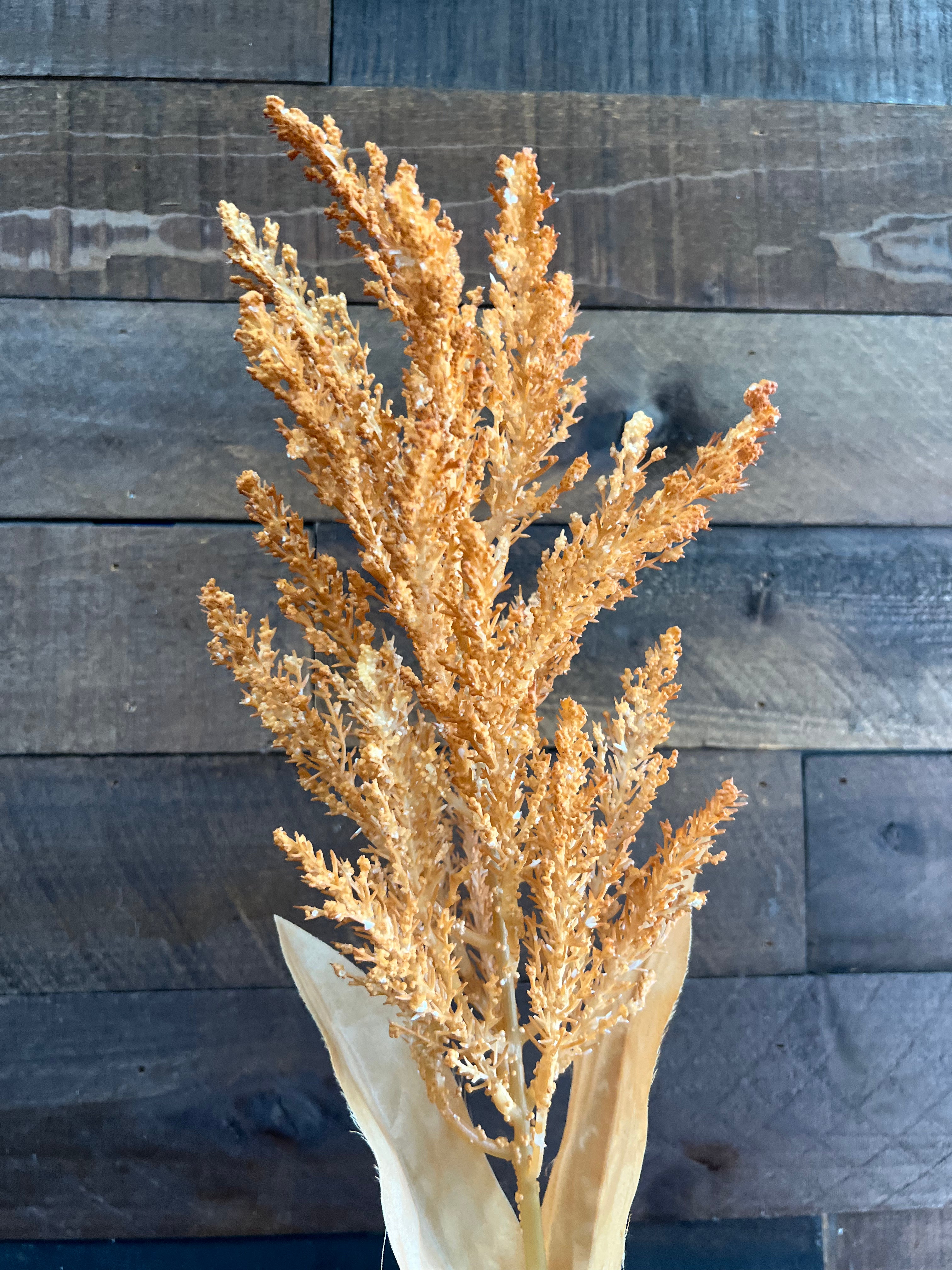 Dried Astilbe (Large Plume) - Burnt Orange