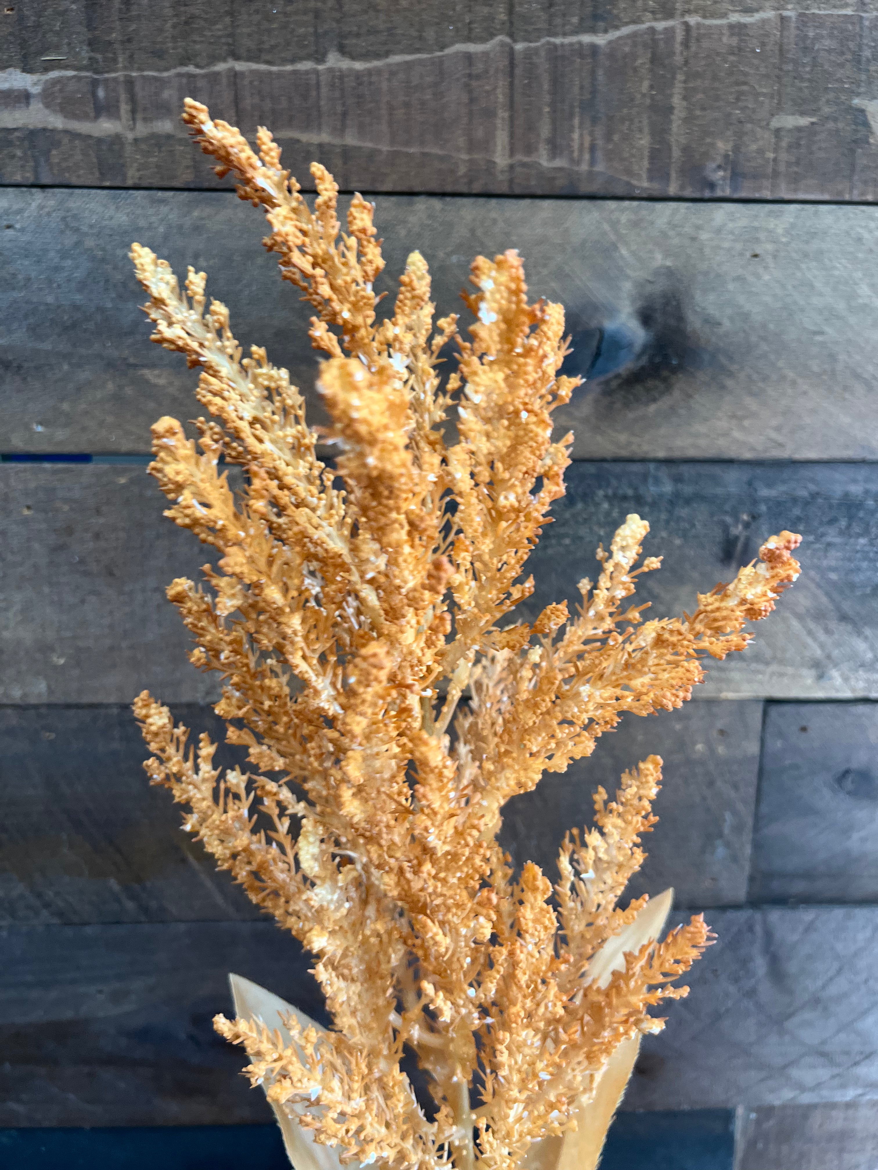 Dried Astilbe (Large Plume) - Burnt Orange