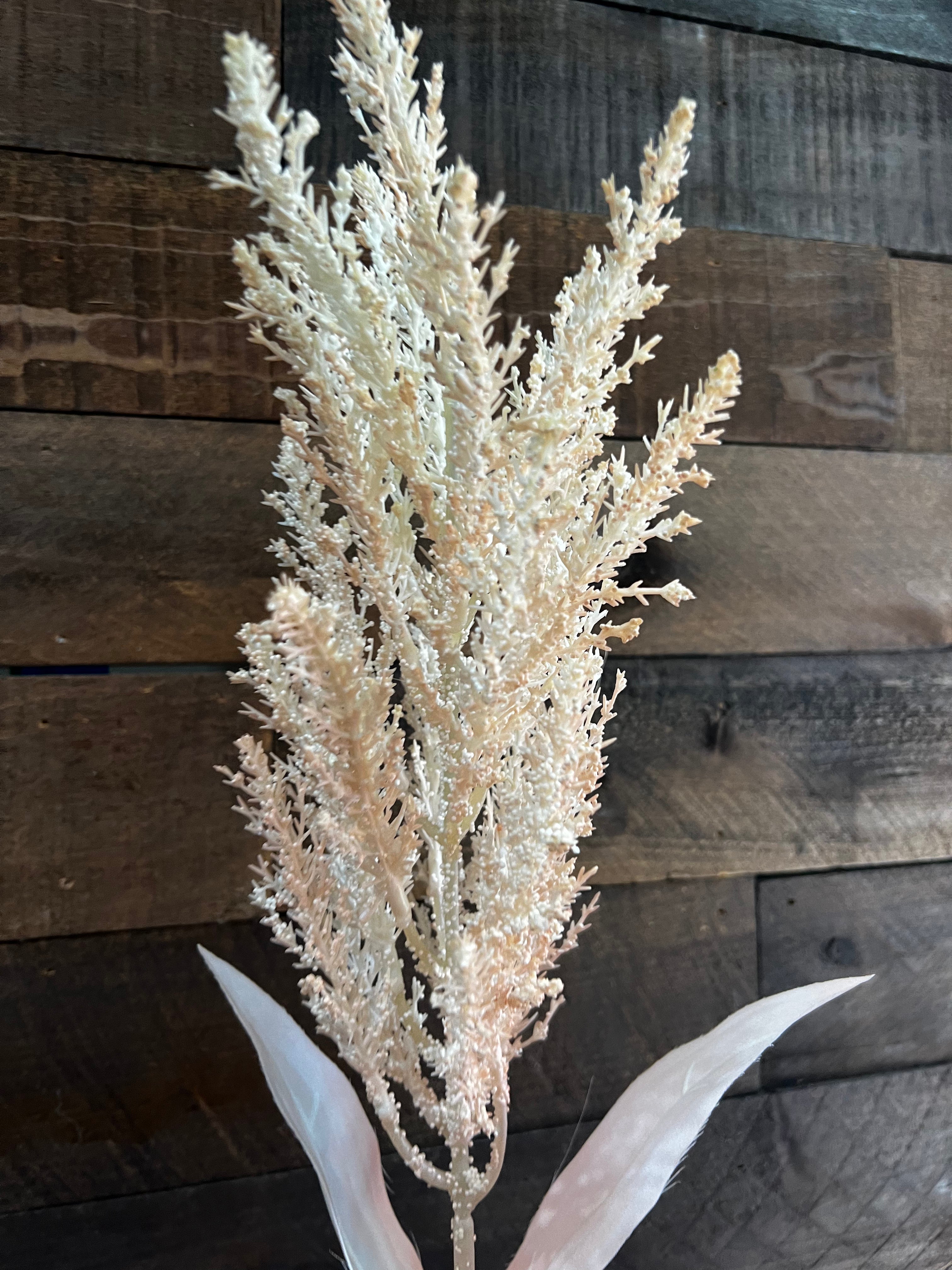 Dried Astilbe (Large Plume) - Beige