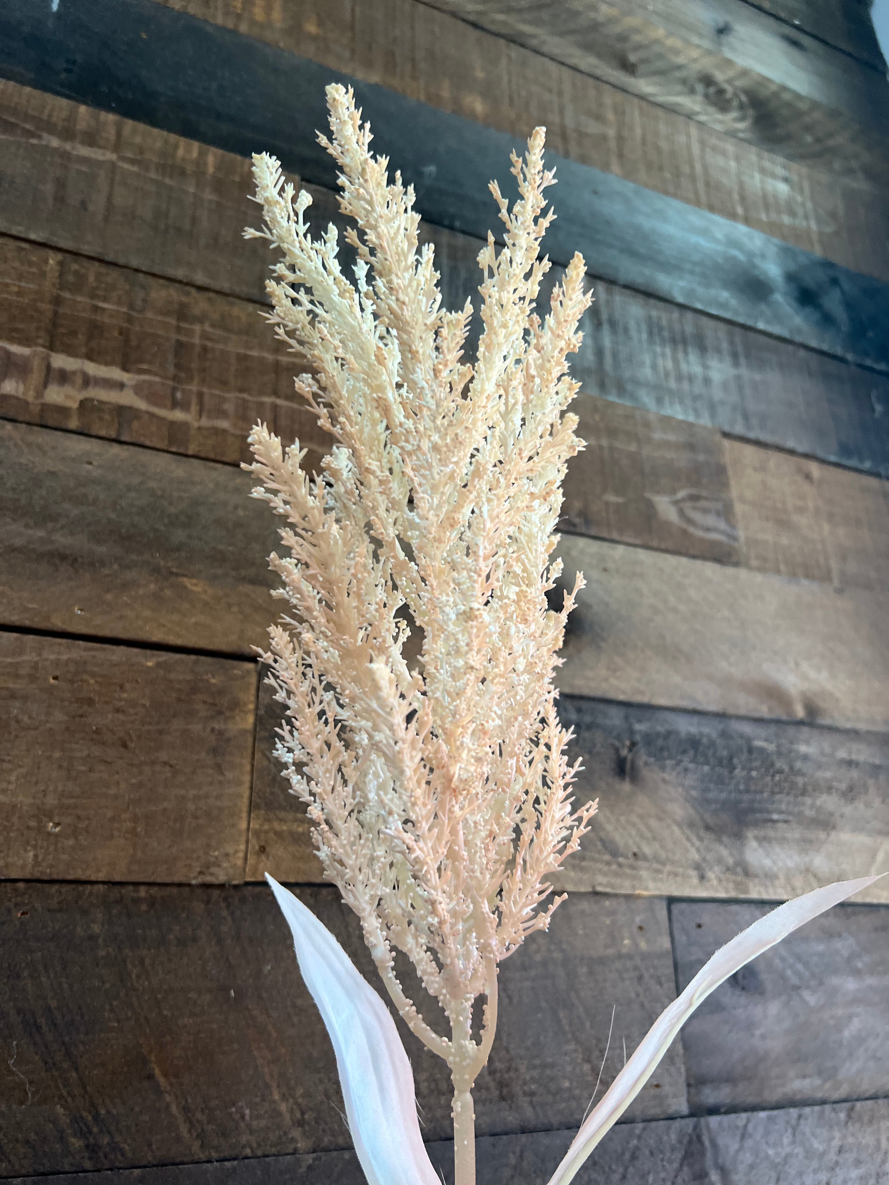 Dried Astilbe (Large Plume) - Beige