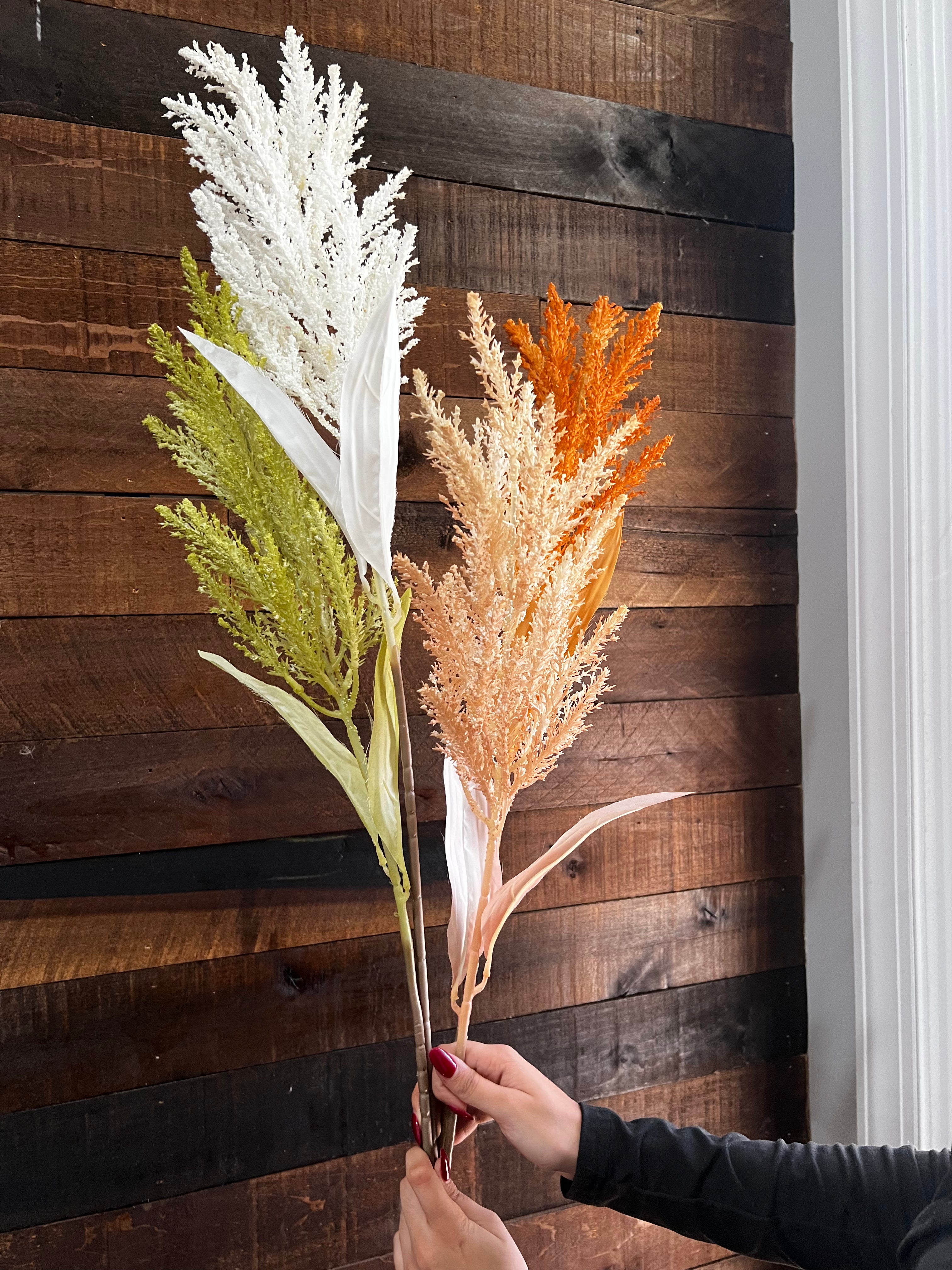 Dried Astilbe (Large Plume) - Sage