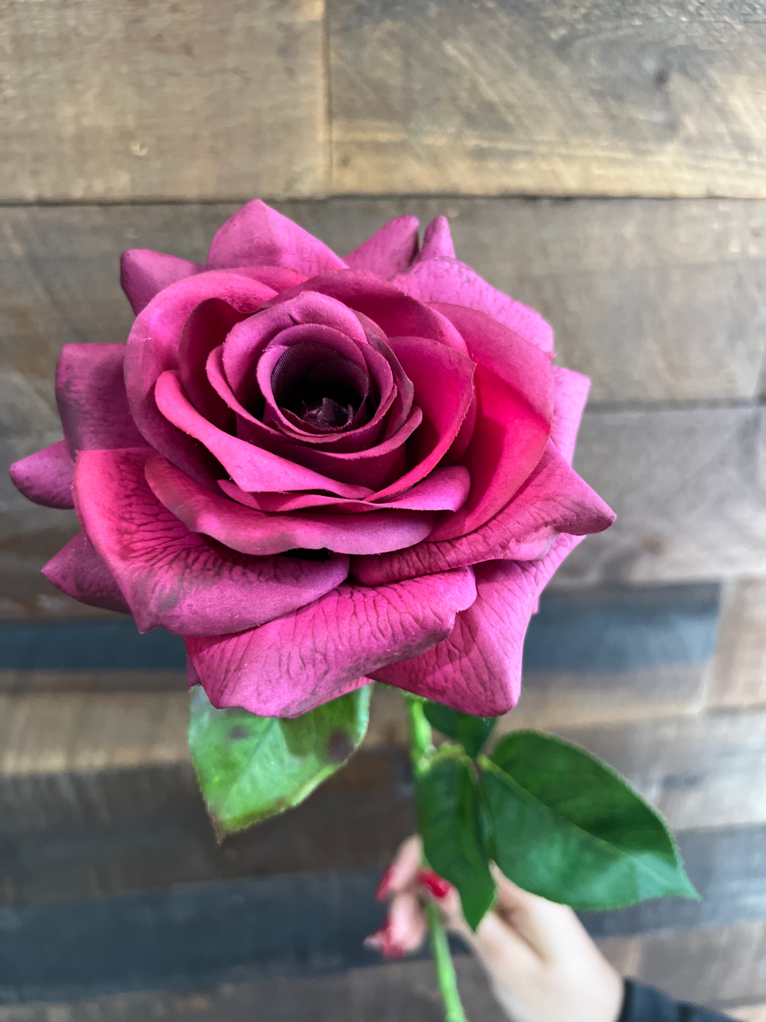 Real Touch - Wine Red Rose