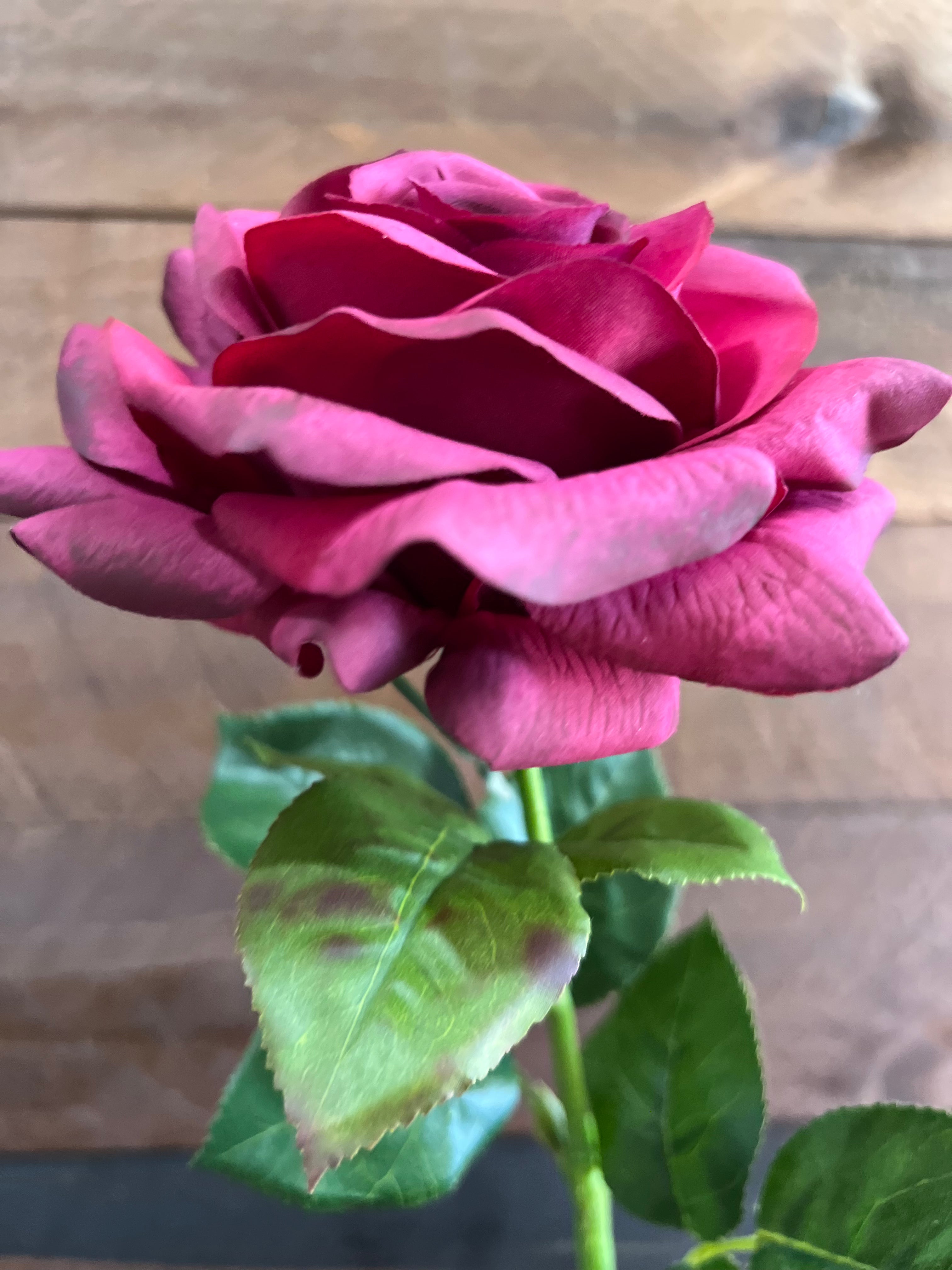 Real Touch - Wine Red Rose