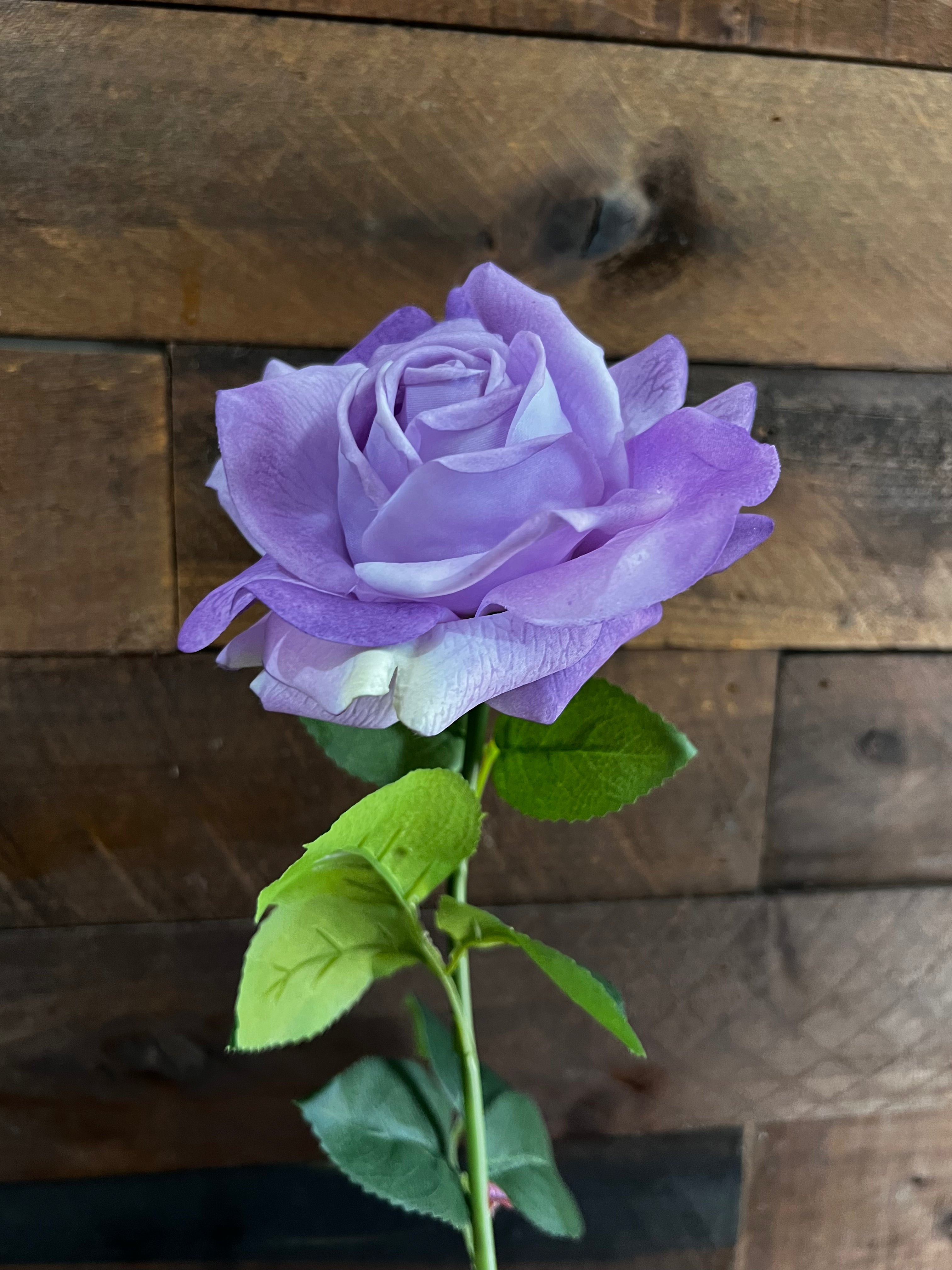 Real Touch - Purple Rose
