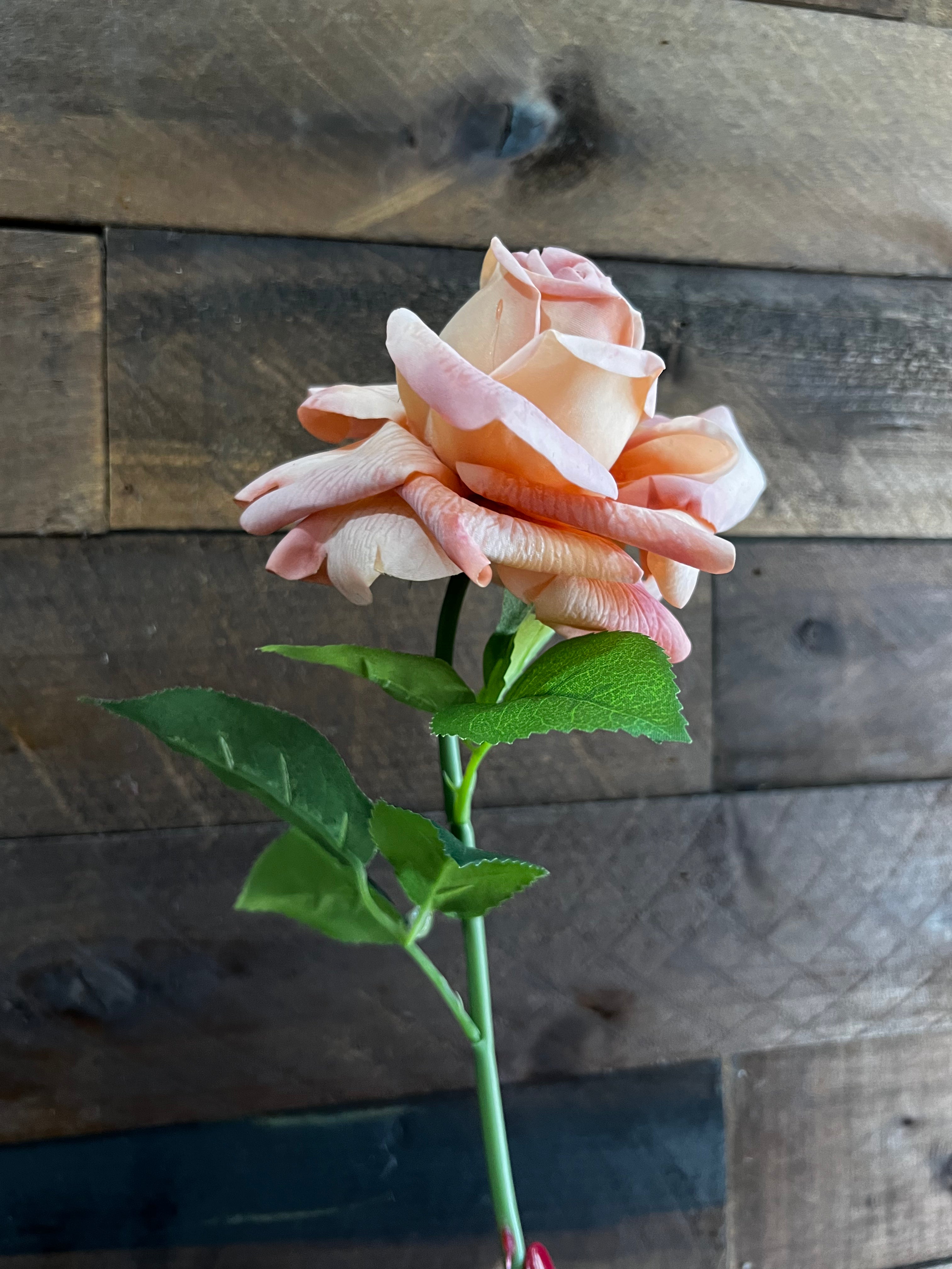Real Touch - Peach Rose