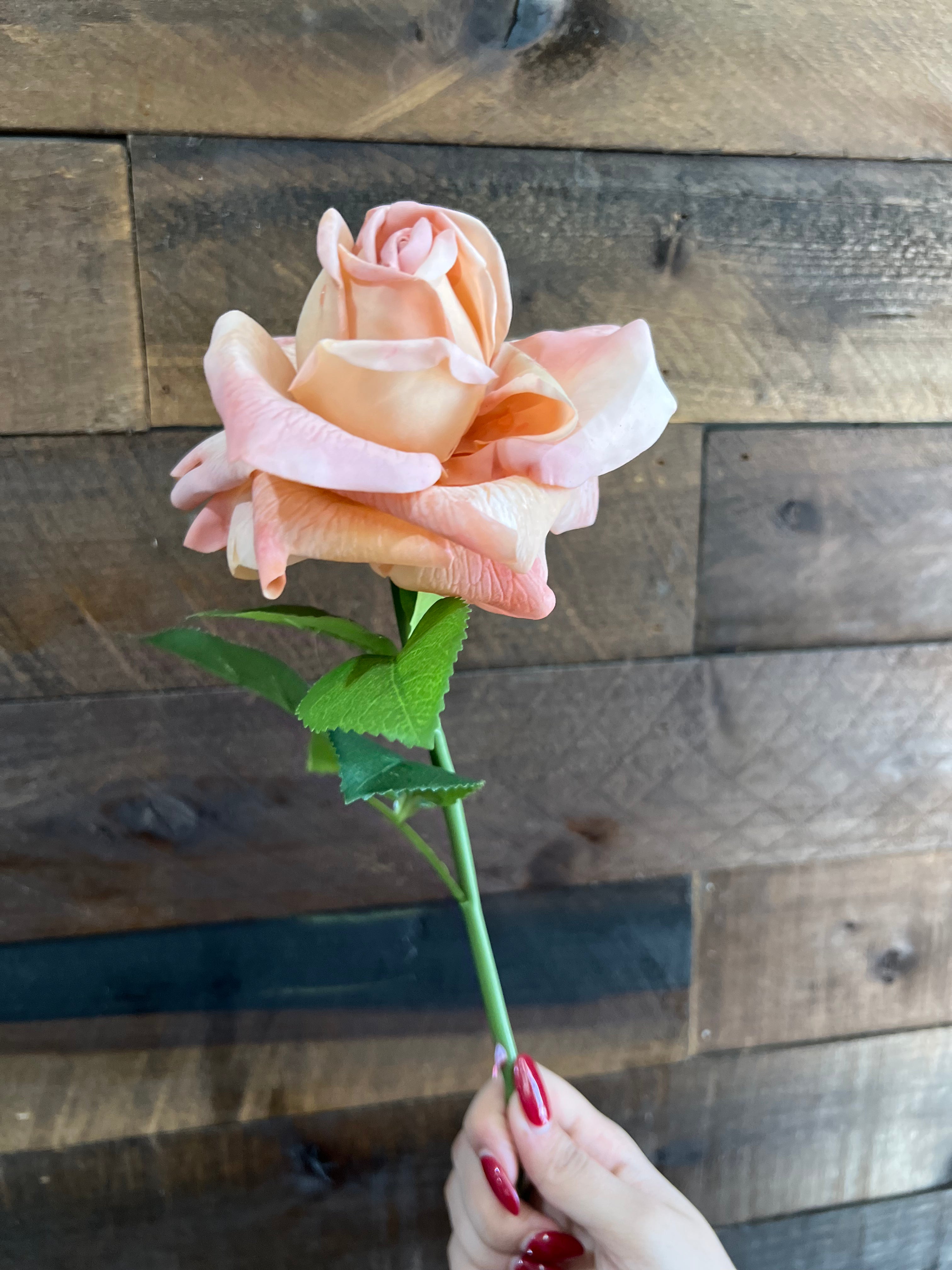Real Touch - Peach Rose