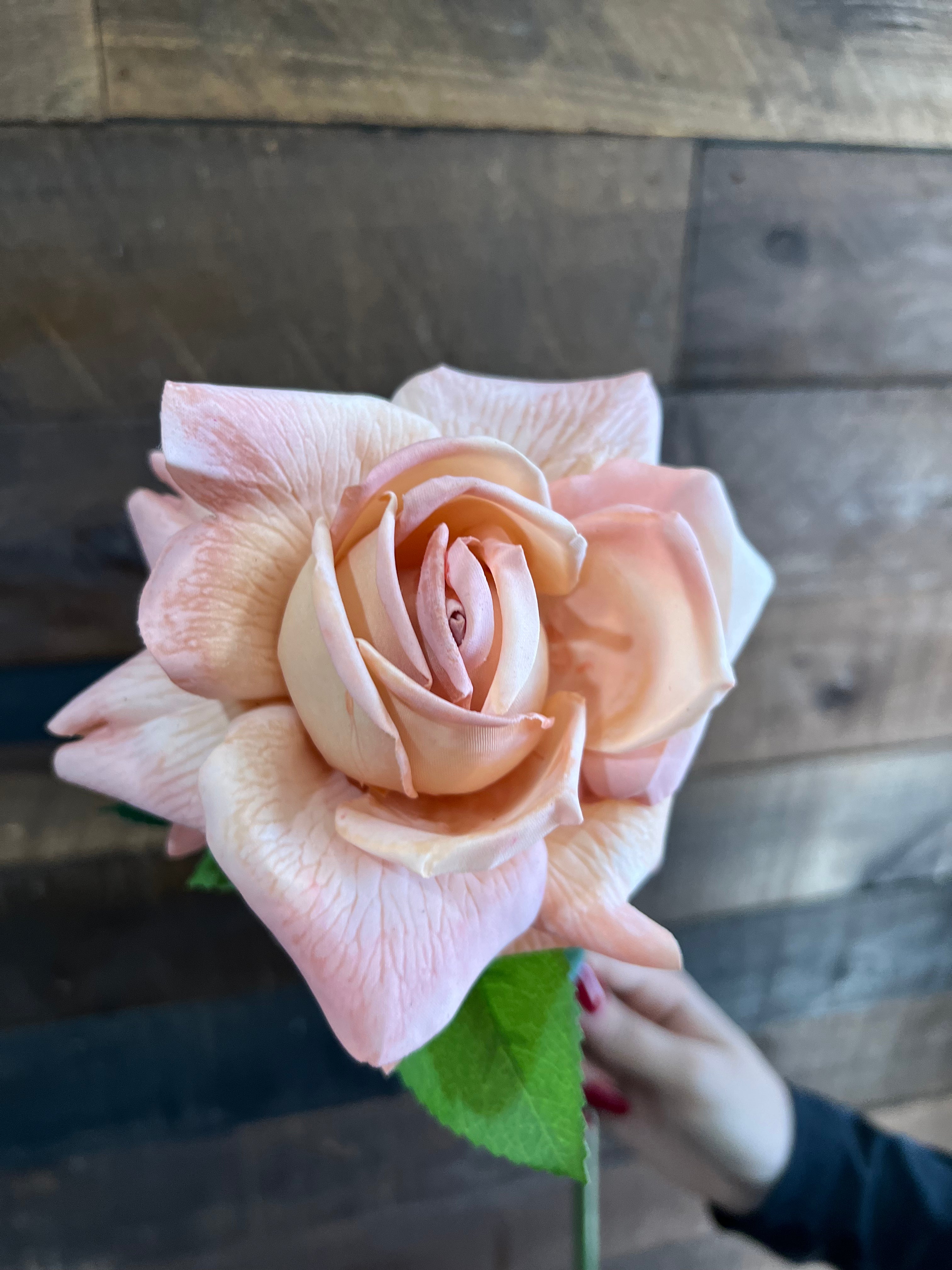 Real Touch - Peach Rose
