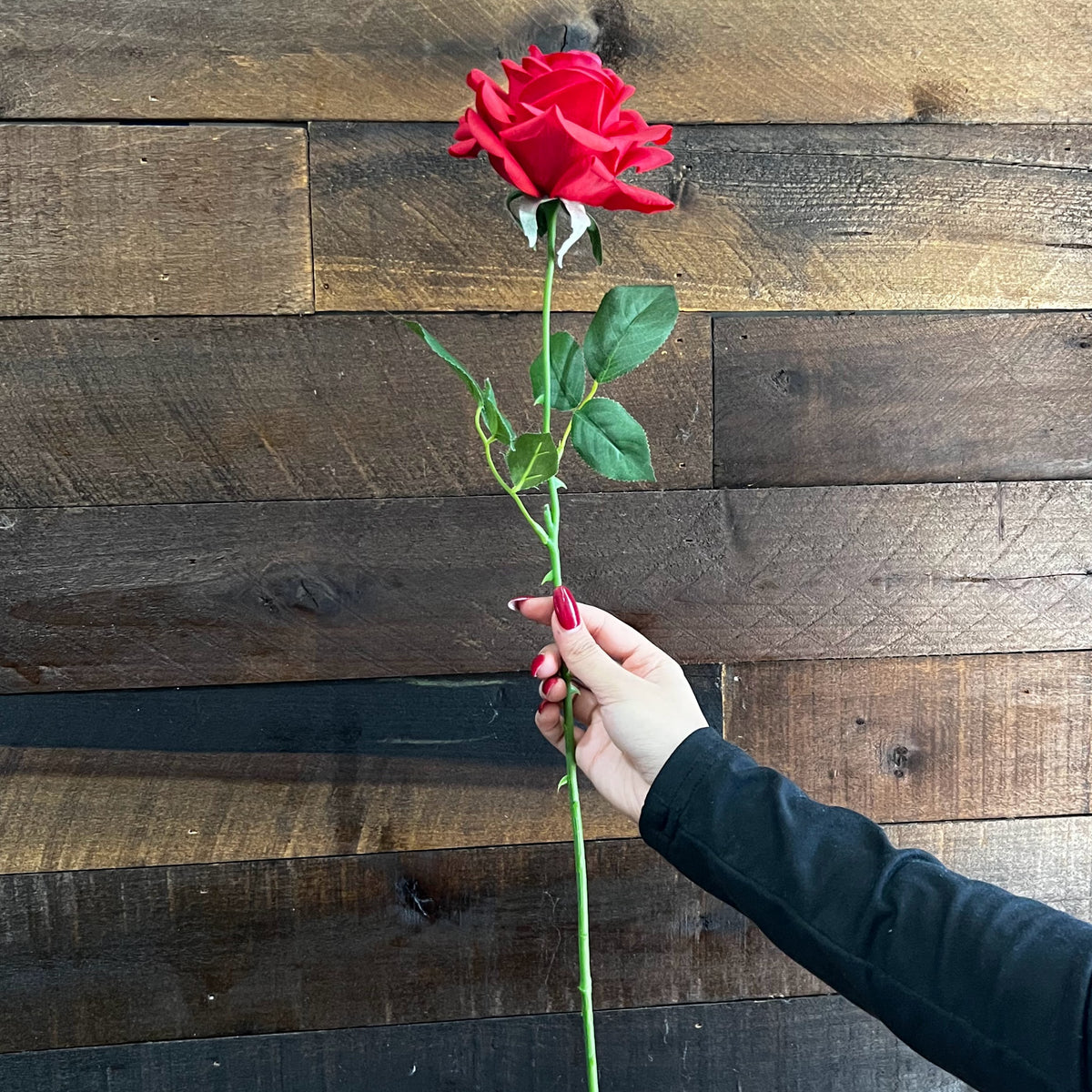 Real Touch - Red Rose