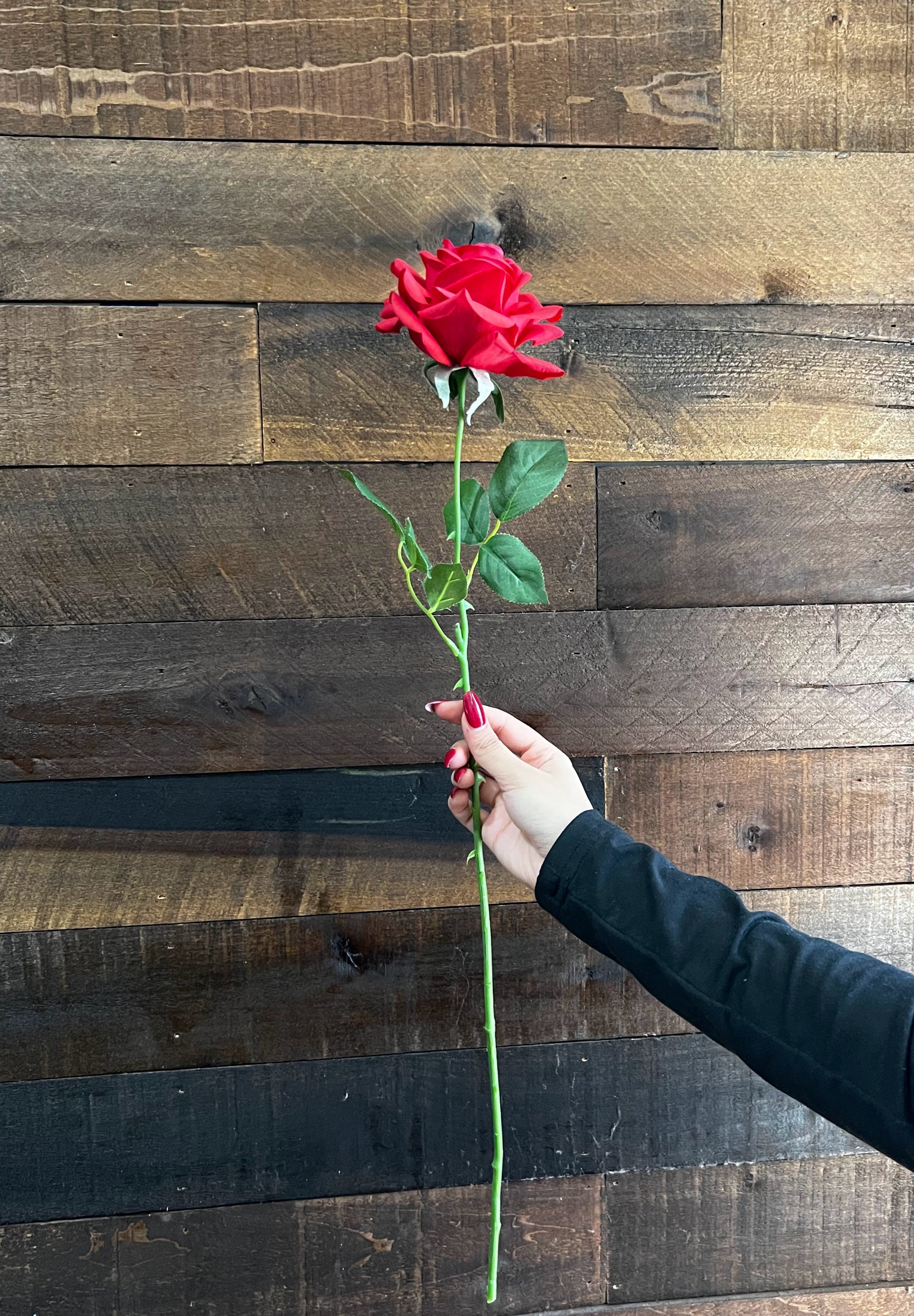 Real Touch - Red Rose