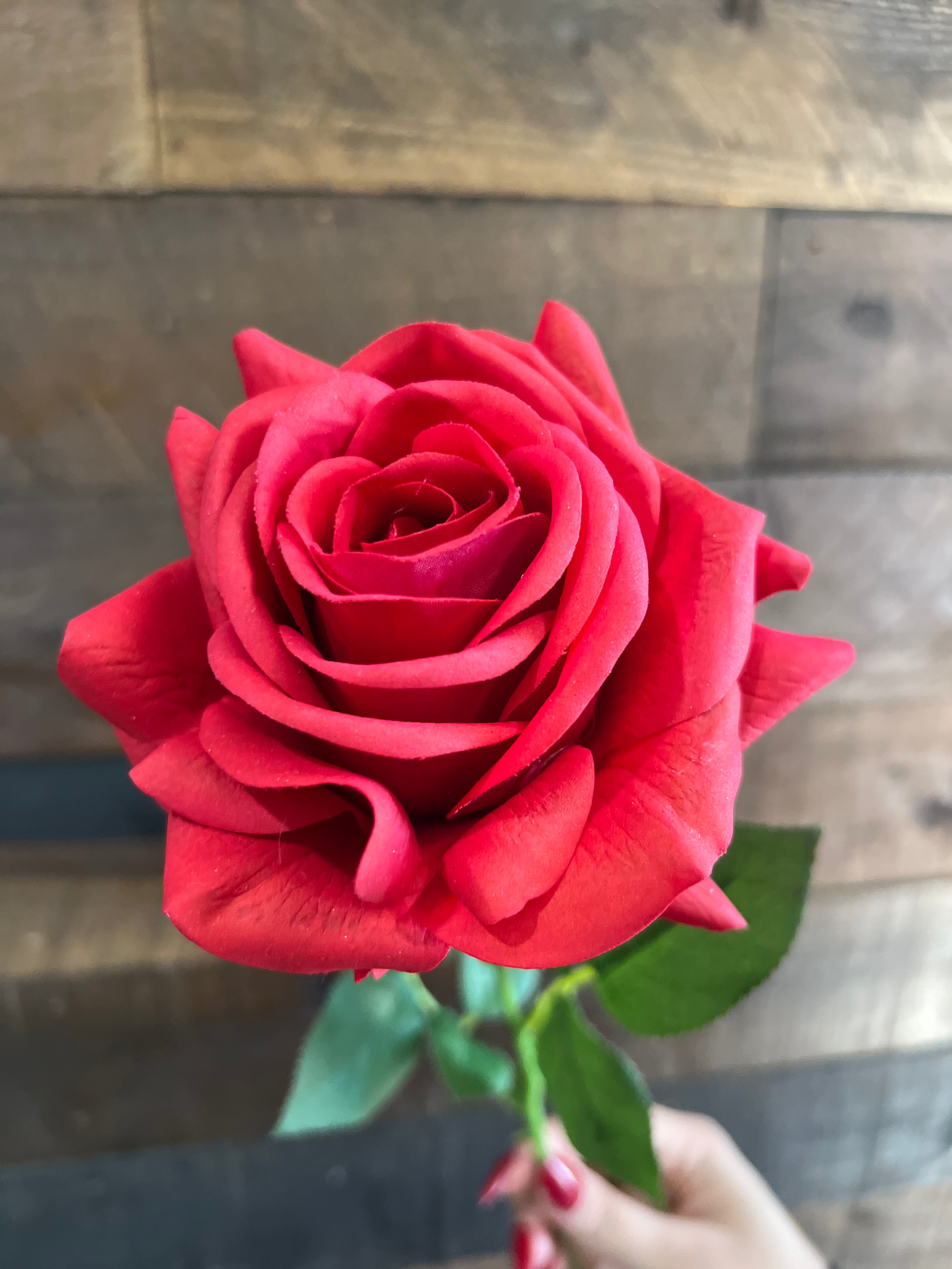 Real Touch - Red Rose