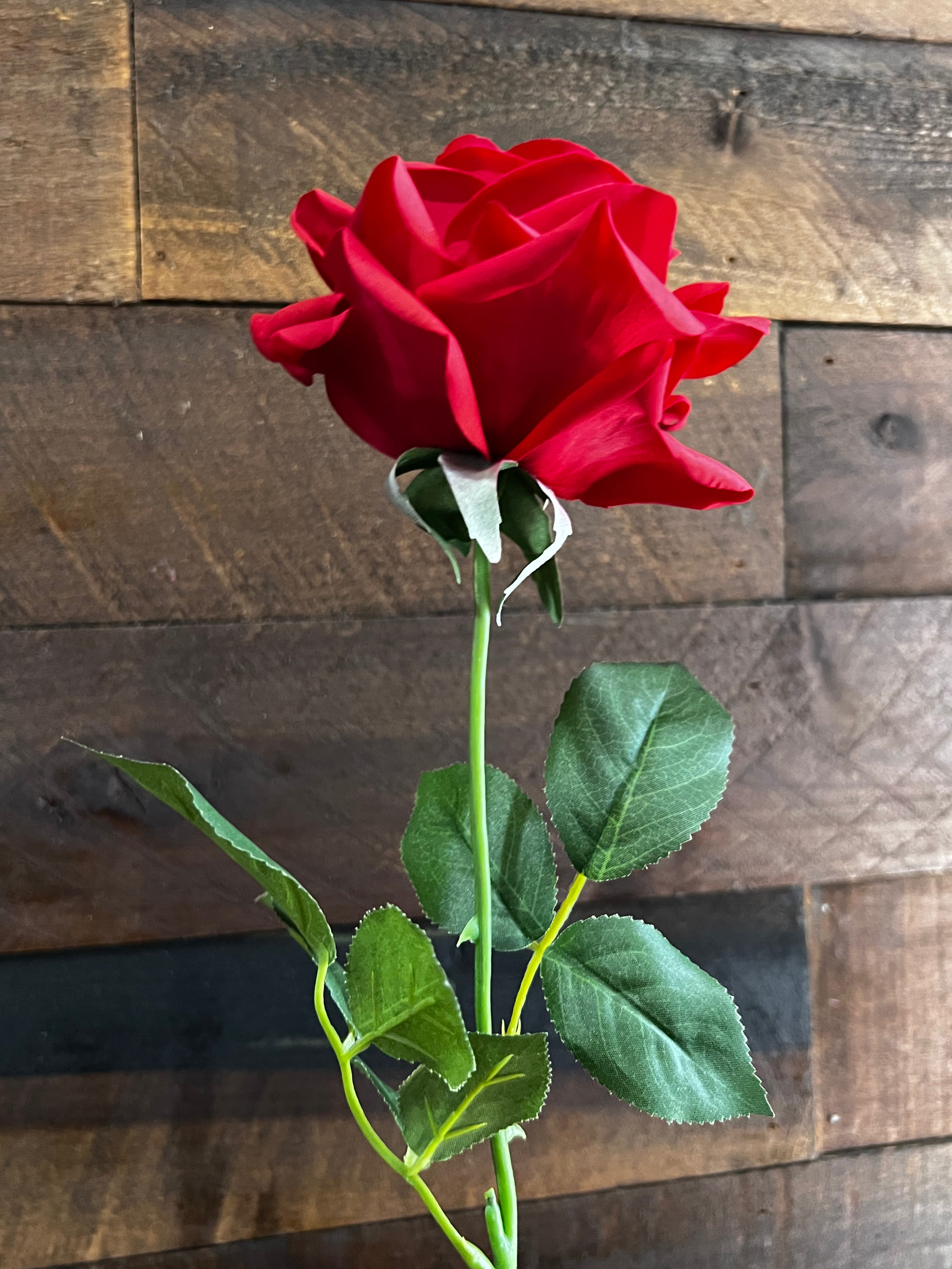 Real Touch - Red Rose