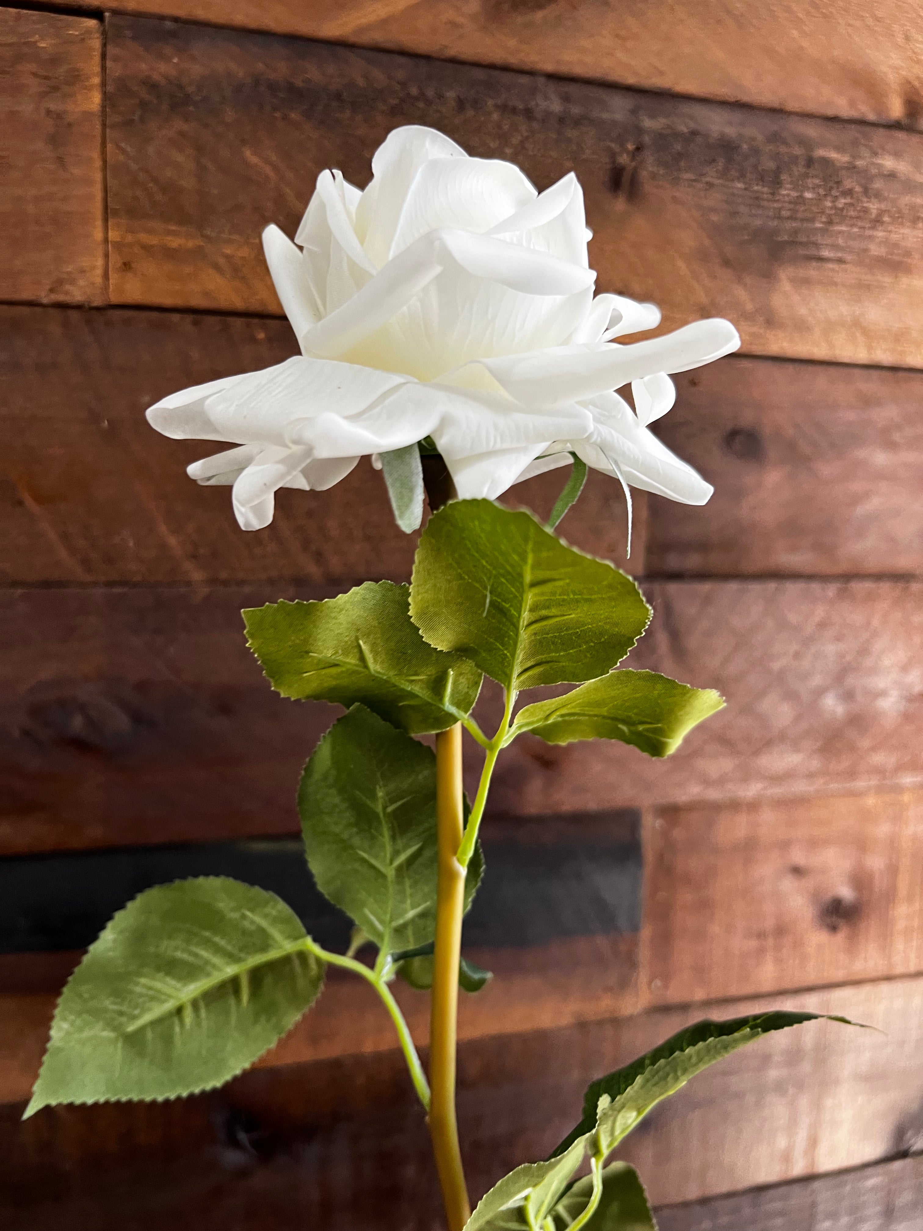 Real Touch - White Rose