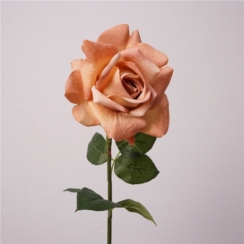 Real Touch - Peach Rose