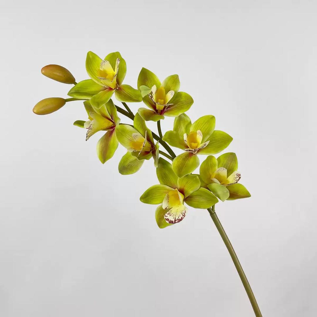 Real Touch - Cymbidium Orchid - Green