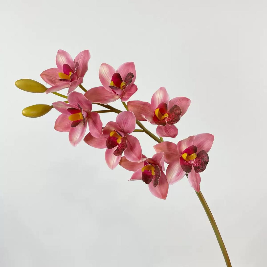 Real Touch - Cymbidium Orchid - Pink